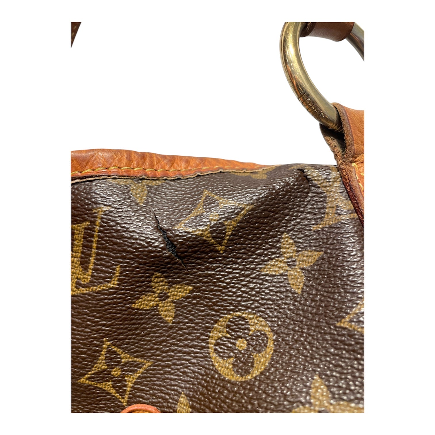 LOUIS VUITTON/Tote Bag/Iridescent/Leather/BRW/LOUIS VUTTION DELIGHTFUL GM view 6