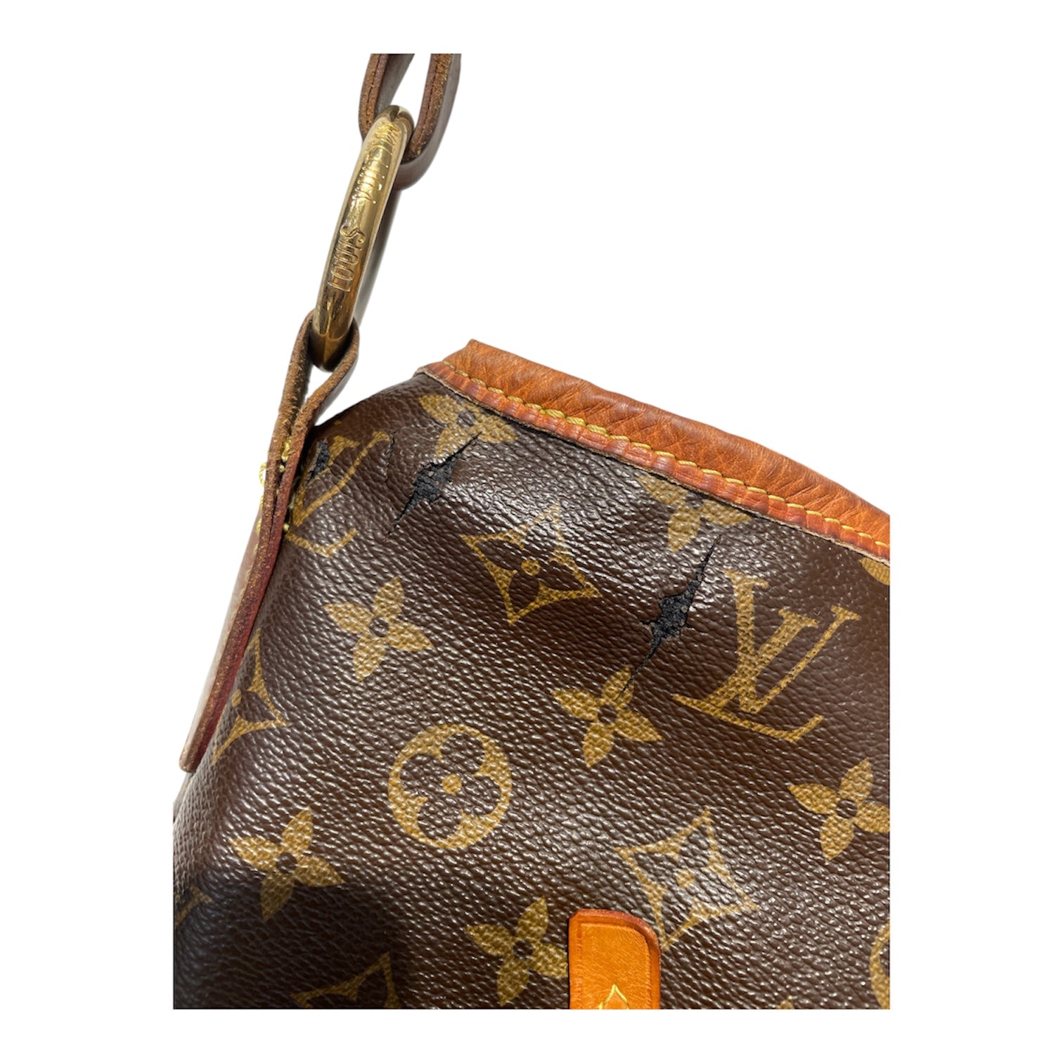 LOUIS VUITTON/Tote Bag/Iridescent/Leather/BRW/LOUIS VUTTION DELIGHTFUL GM view 7