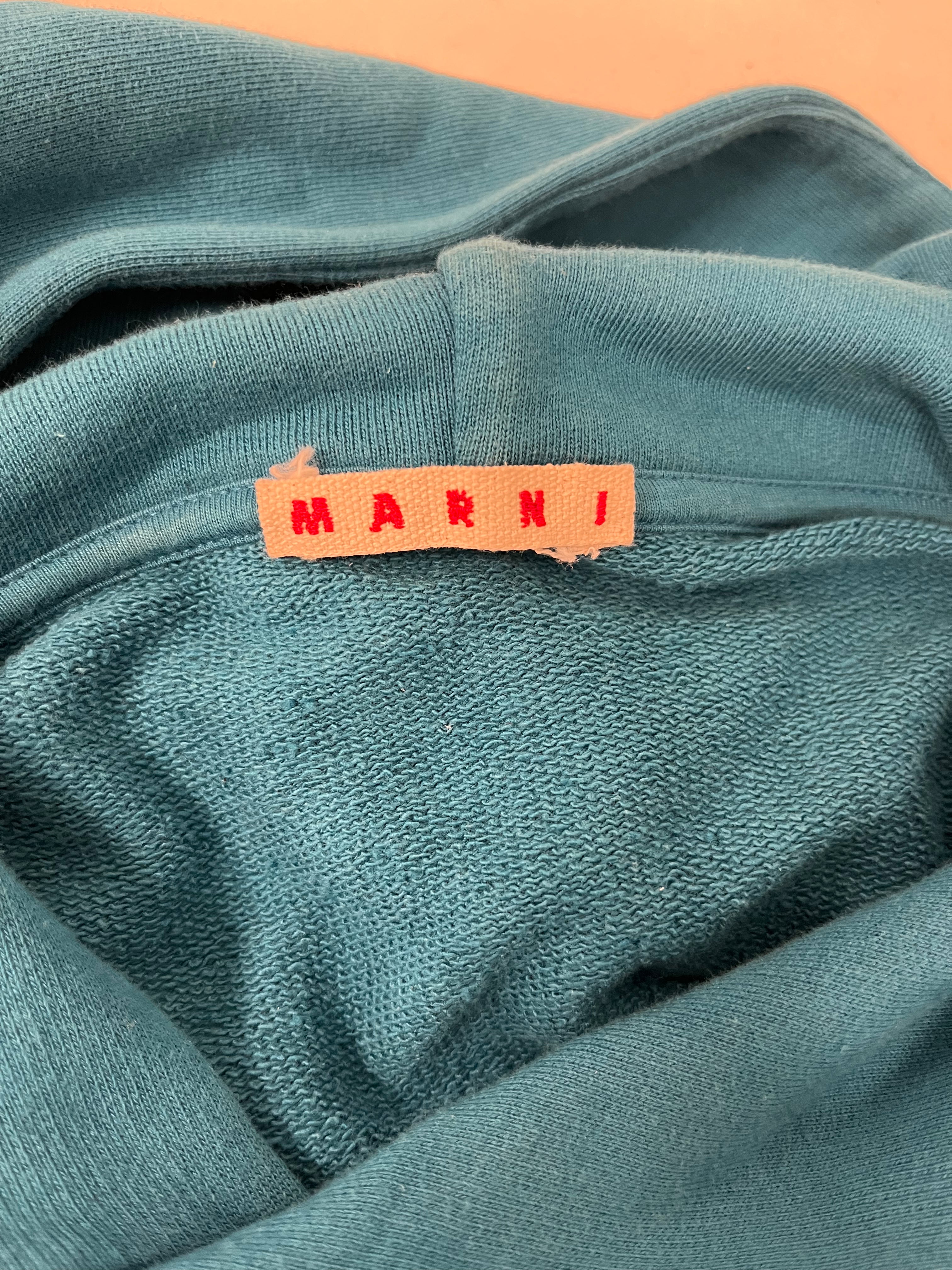 MARNI/Hoodie/56/Cotton/BLU/Oversize/FLOWER HOODIE view 3