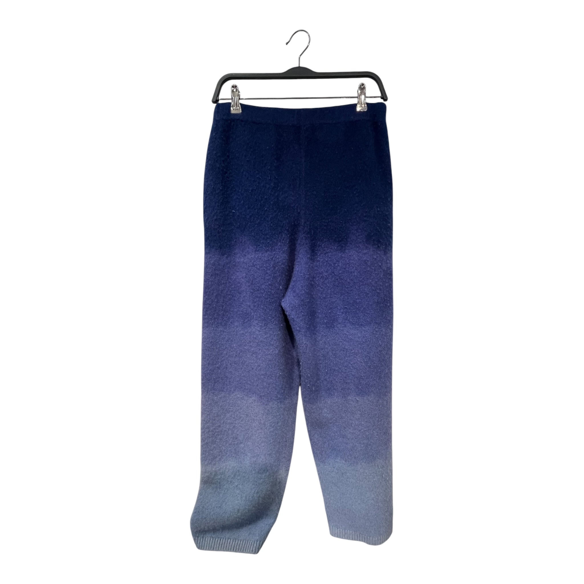 The Elder Statesman/Straight Pants/XL/Stripe/Cashmere/BLU/148931 blue gradient sweatpant view 2
