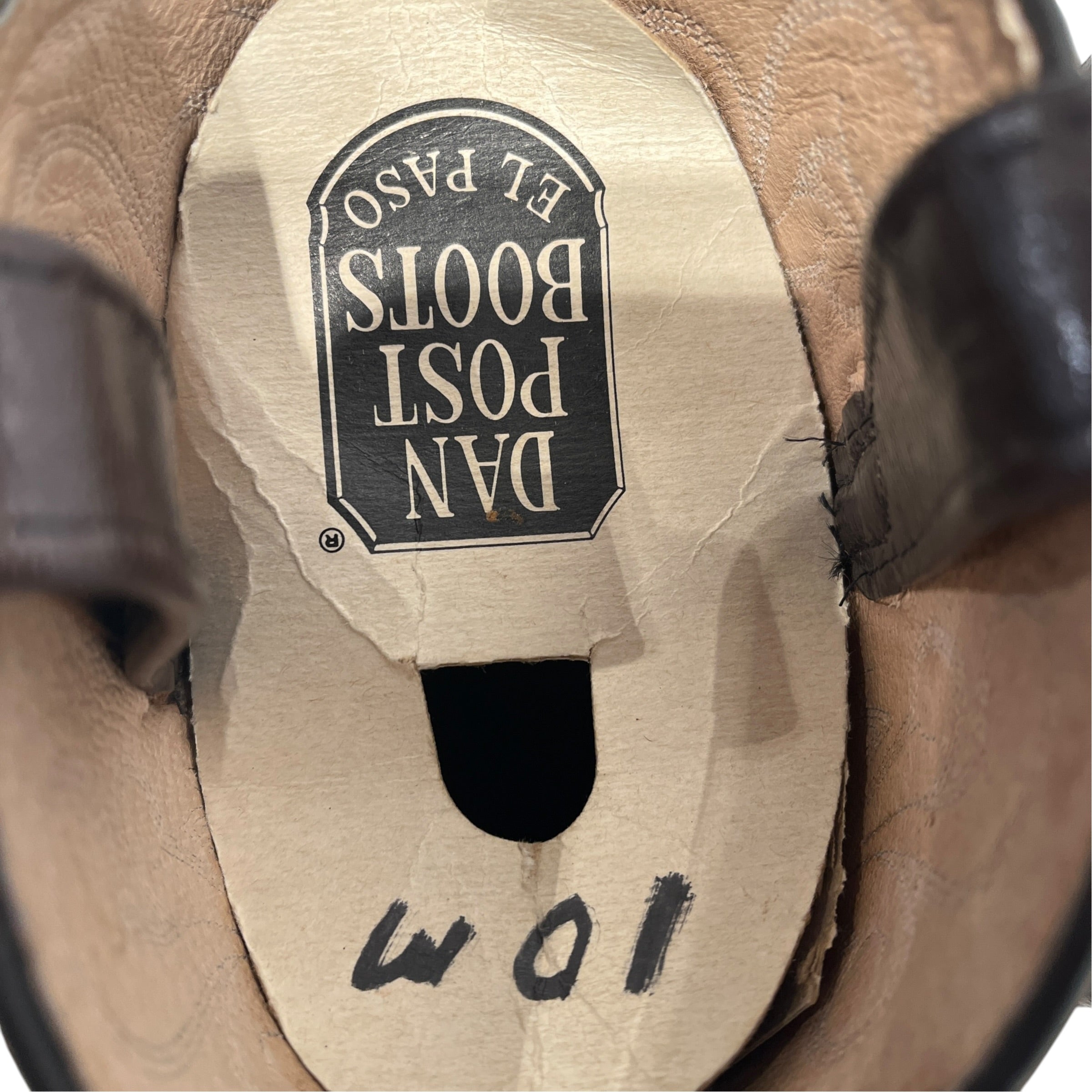 DAN POST BOOTS/Vintage/Cowboy Boots/US 10/Graphic/Leather/BRW/Brown Teju Lizard Exotic Boots view 3
