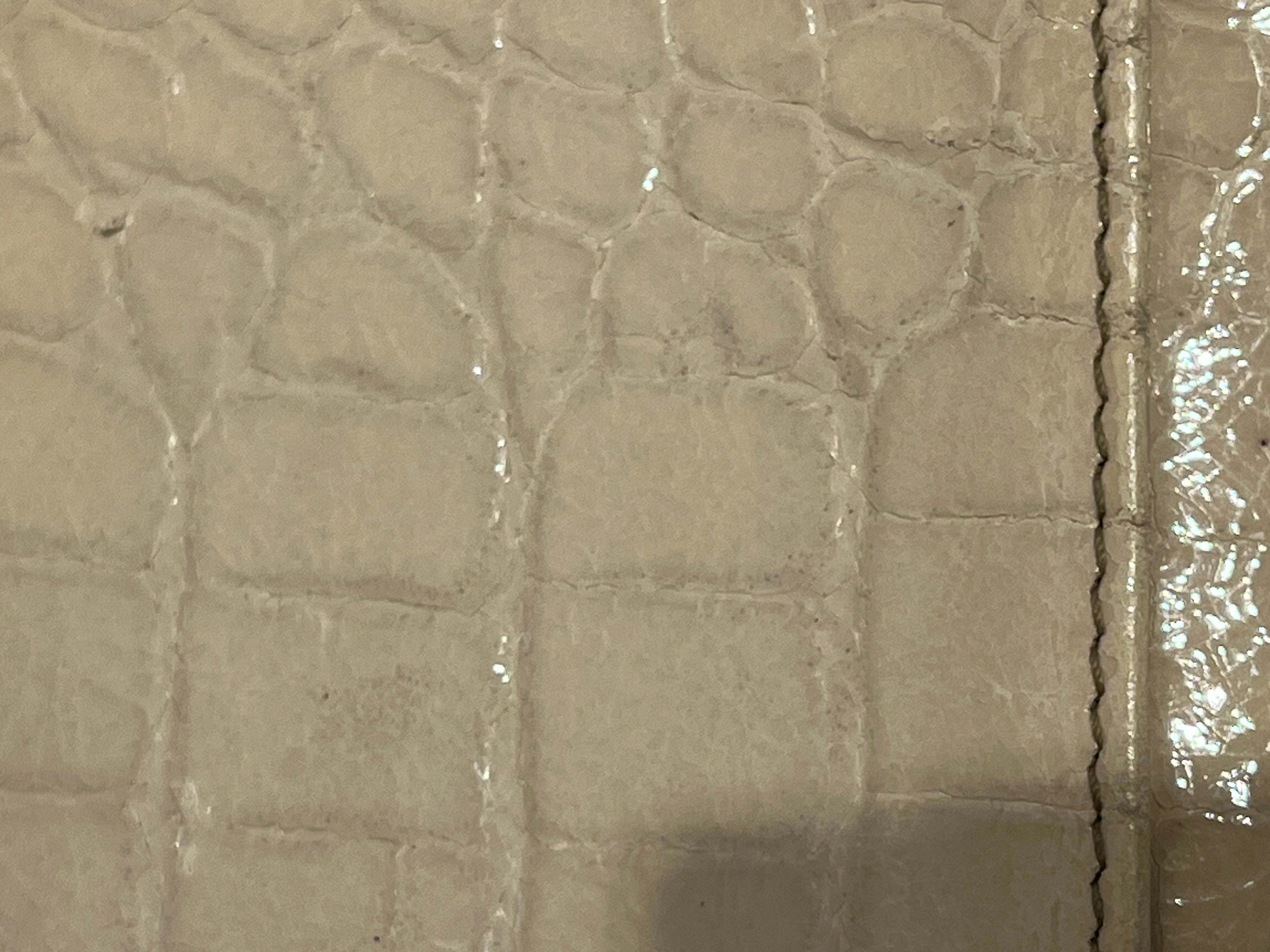 MIU MIU/Bifold Wallet/Animal Pattern/Leather/BEG/faux snake skin wallet view 8