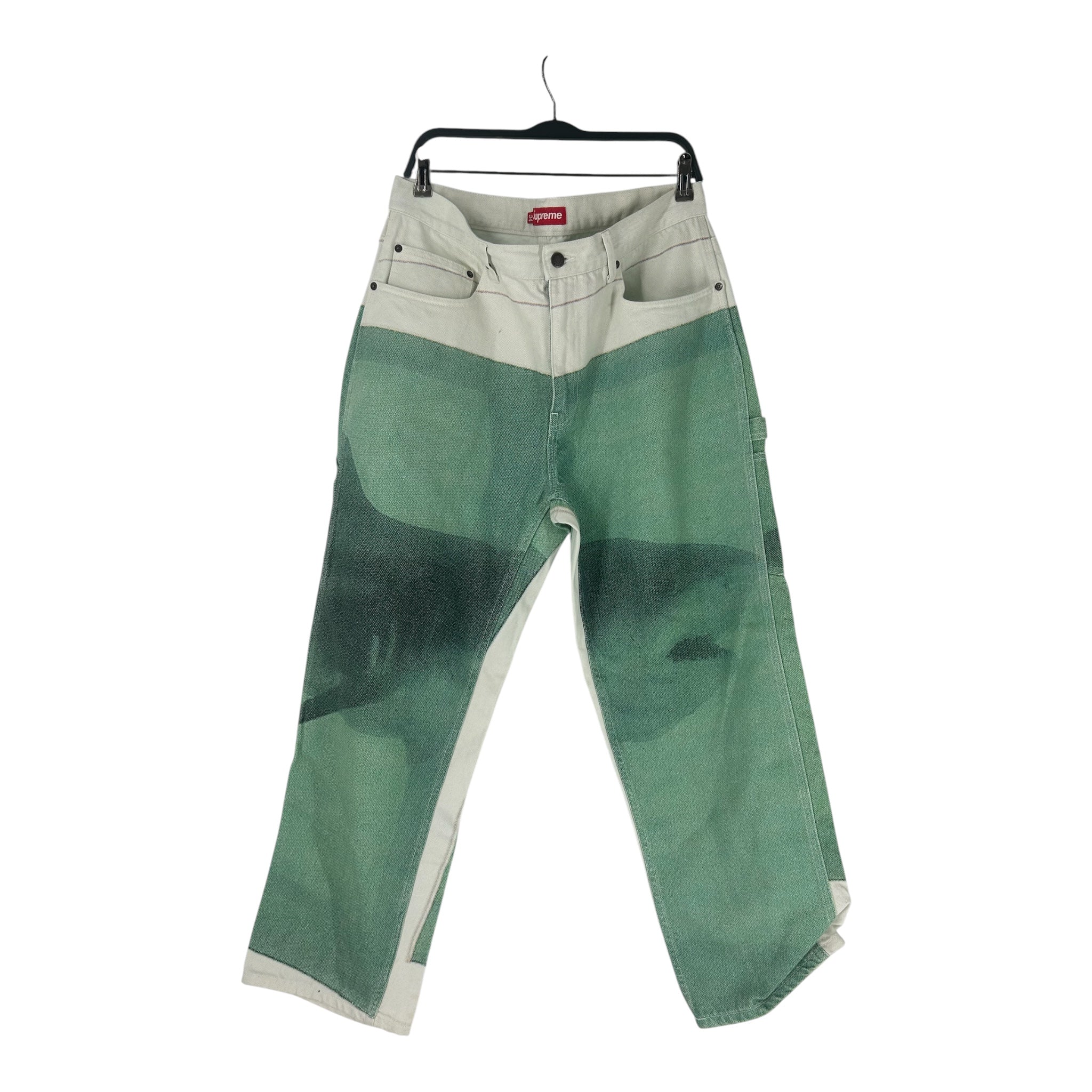 Supreme/Pants/34/Denim/BLU/All Over Print/DAMIEN HIRST SHARK PANTS view 1