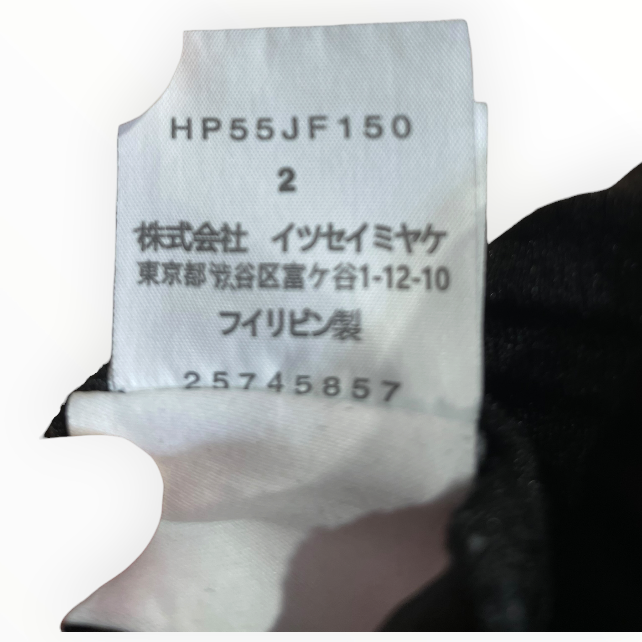 PLEATS PLEASE ISSEY MIYAKE/Straight Pants/2/Cotton/BLK/pleats please view 4
