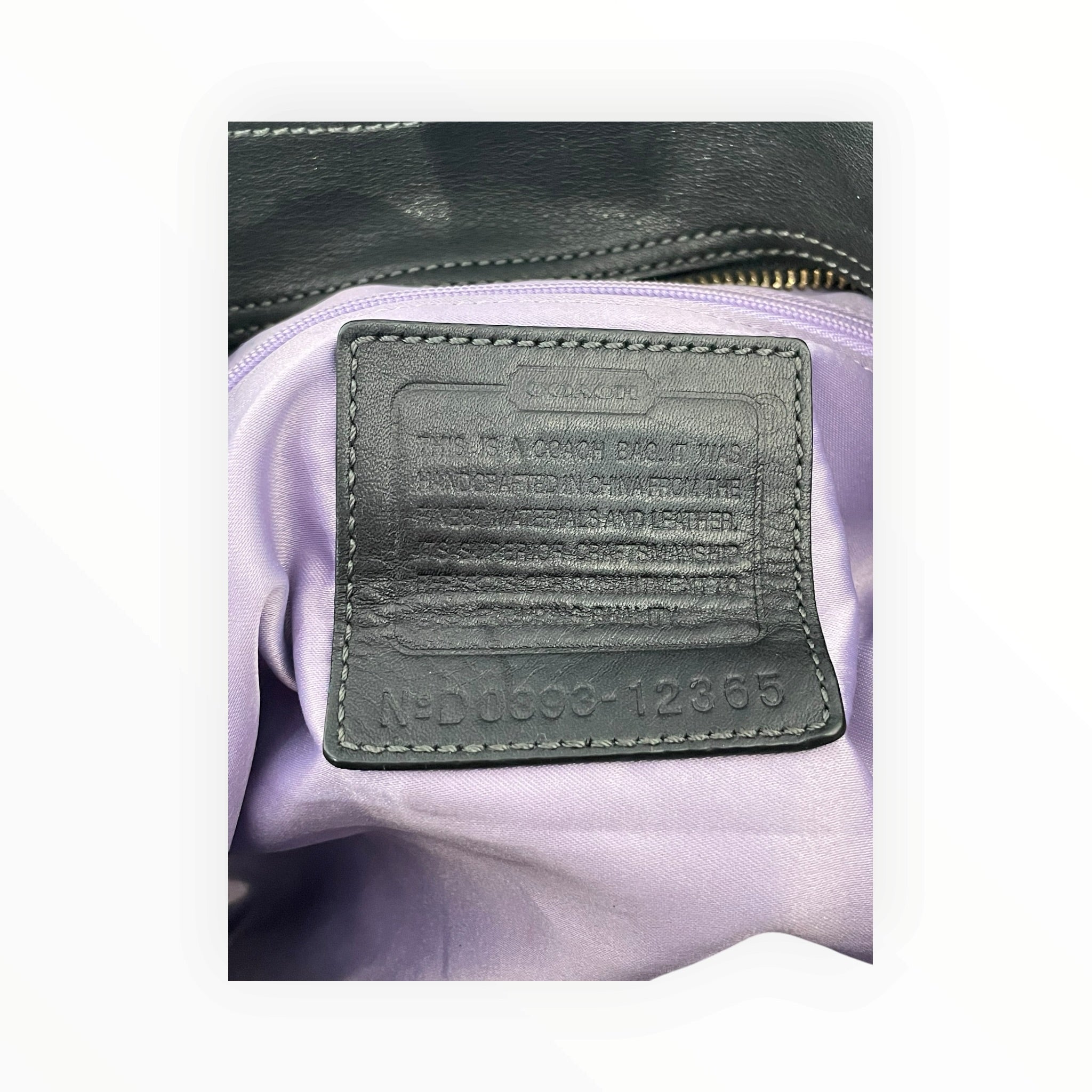 COACH/Bag/Monogram/BEG/12365 view 5