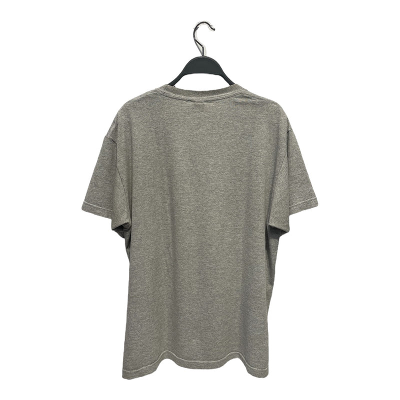 BUG SEX/T-Shirt/M/Cotton/GRY/Faded graphic