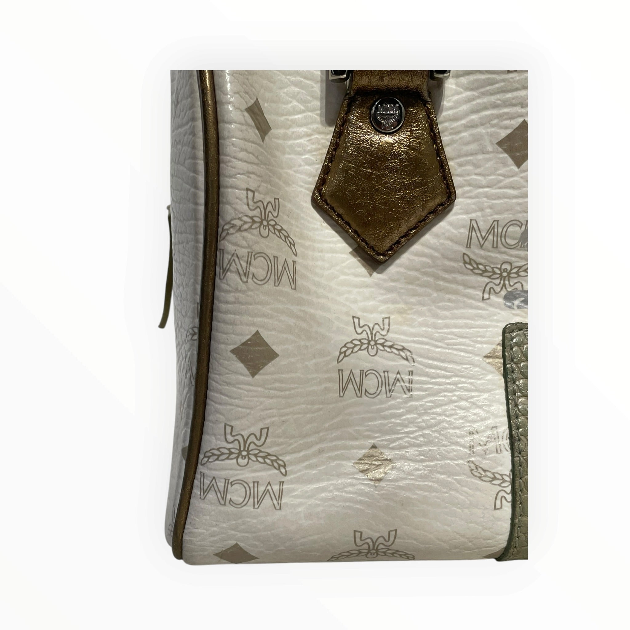 MCM/Hand Bag/Monogram/Leather/WHT/VISETOS PRINCESS LION BOSTON view 3