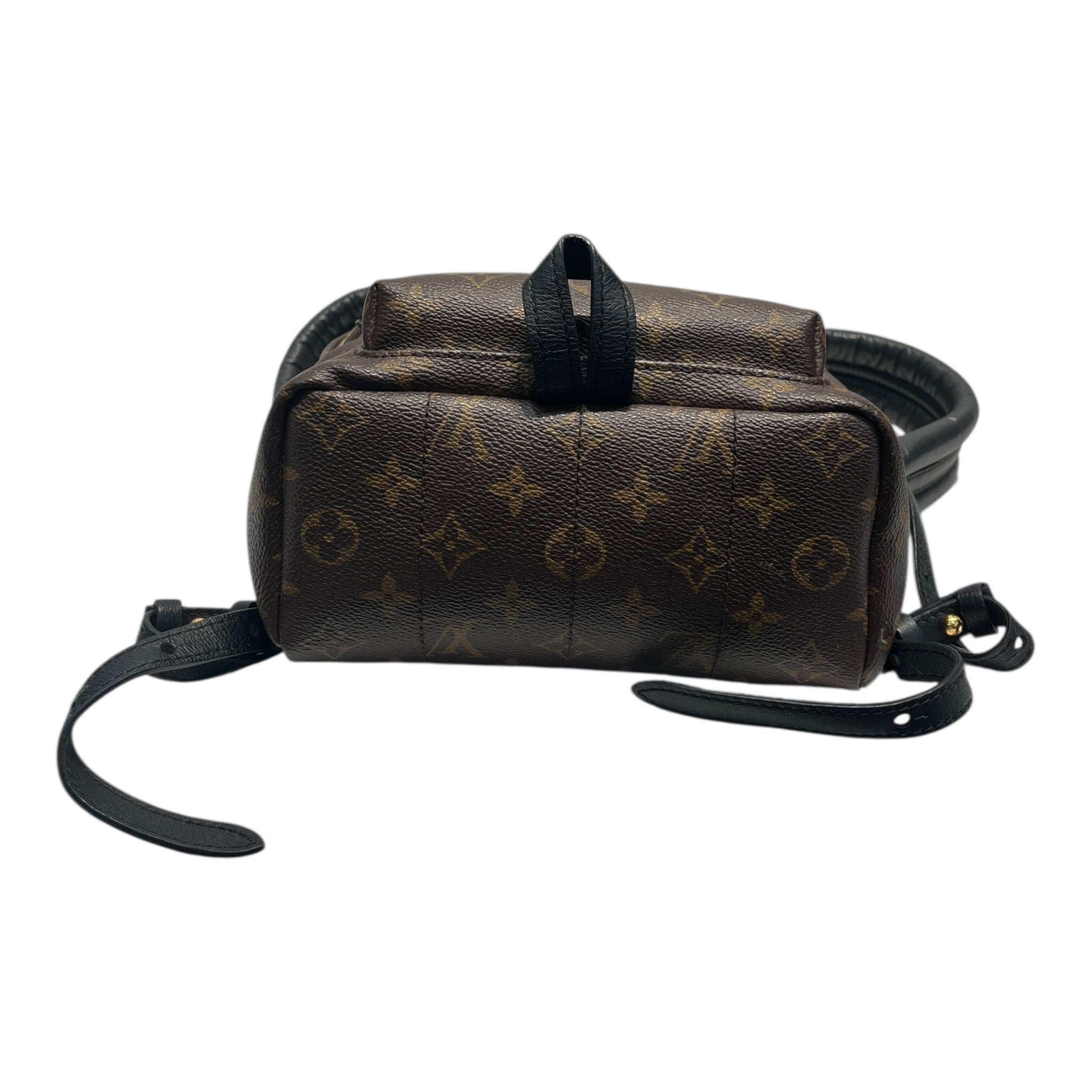 Louis Vuitton Backpack/Monogram/Leather/BRW/Palm Springs Mini Backpack view 4