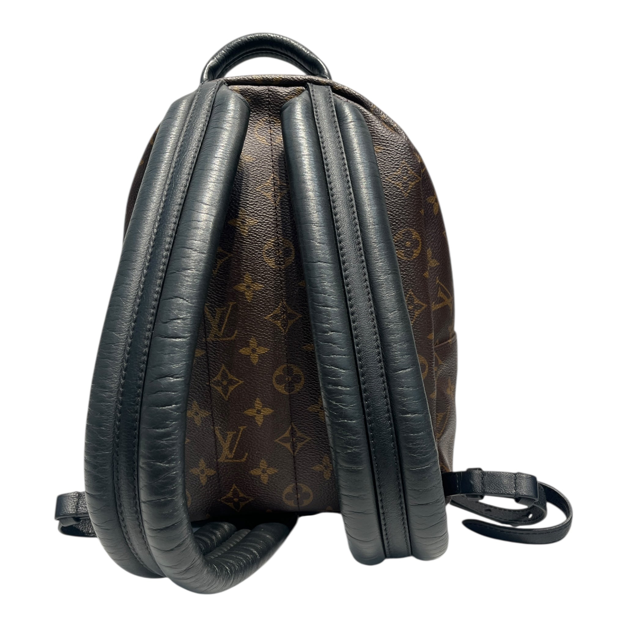 Louis Vuitton Backpack/Monogram/Leather/BRW/Palm Springs Mini Backpack view 2