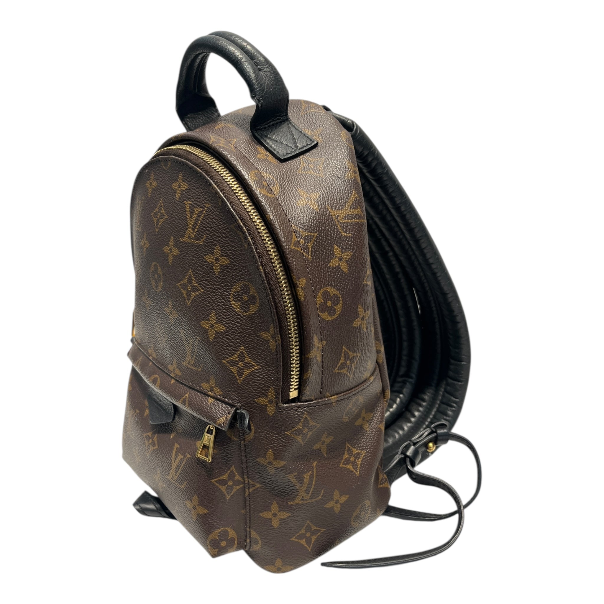 Louis Vuitton Backpack/Monogram/Leather/BRW/Palm Springs Mini Backpack view 5