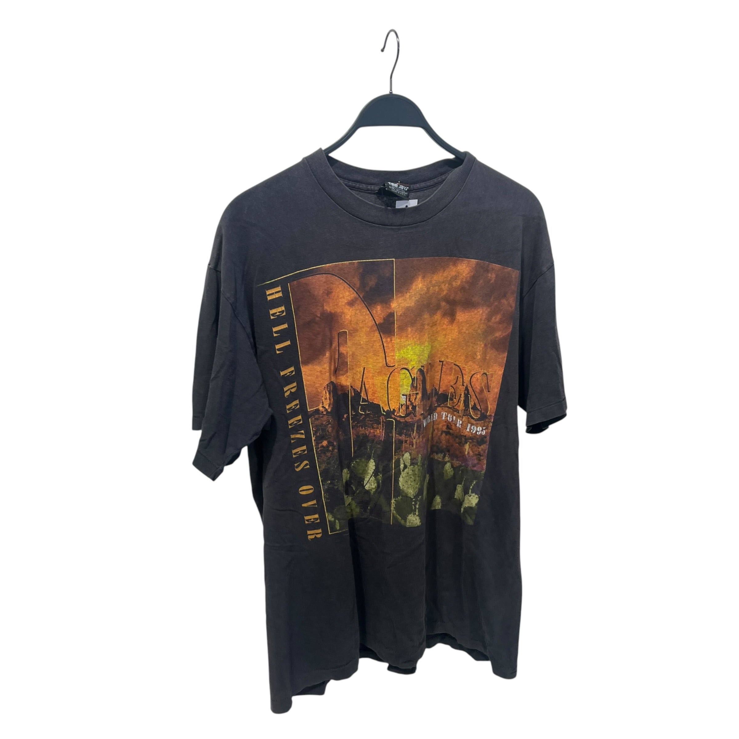 Vintage/T-Shirt/XL/Cotton/GRY/EAGLES HELL FREEZES OVER view 1
