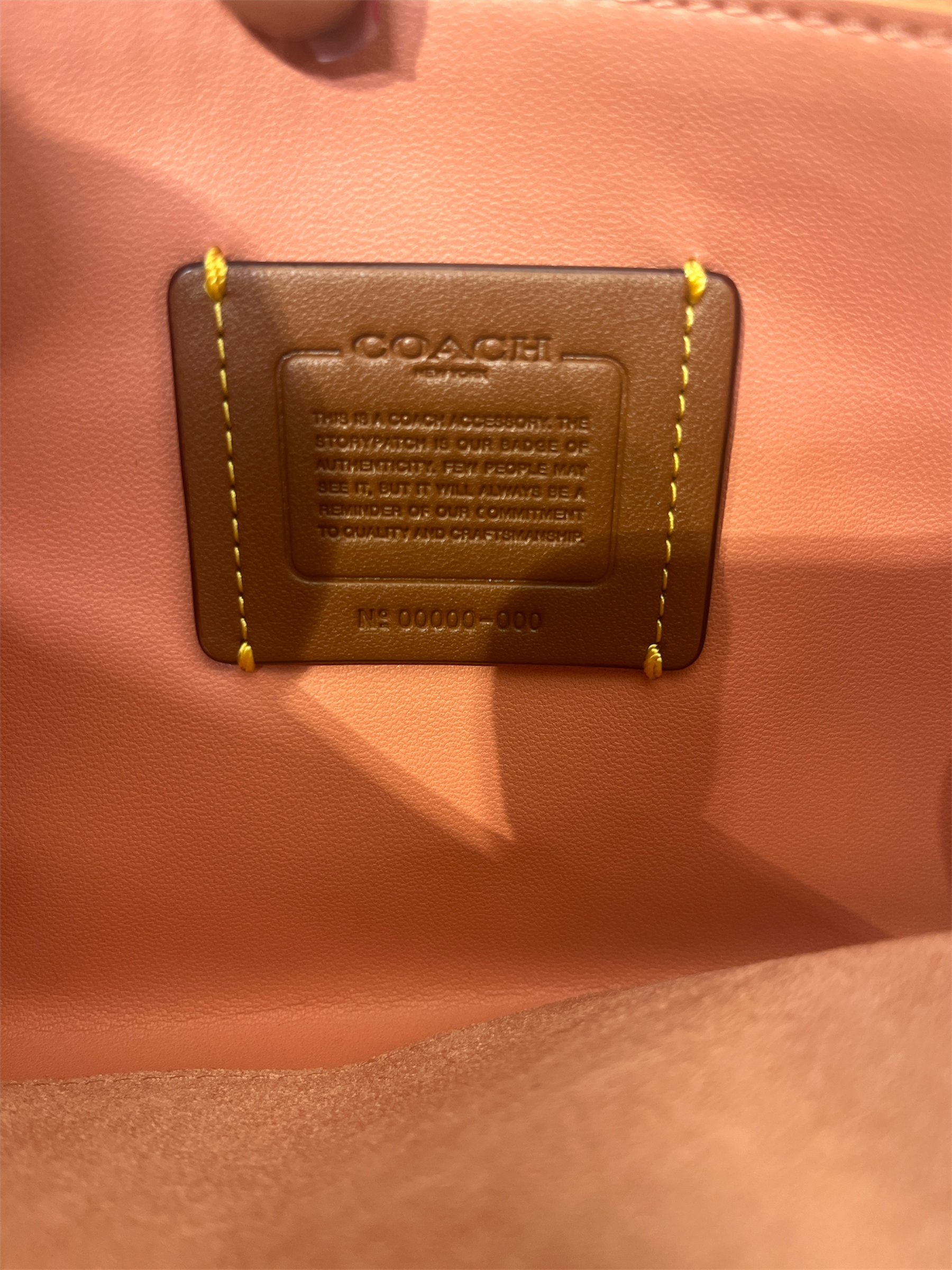 COACH/Cross Body Bag/Leather/PNK/TABBY CHAIN view 3