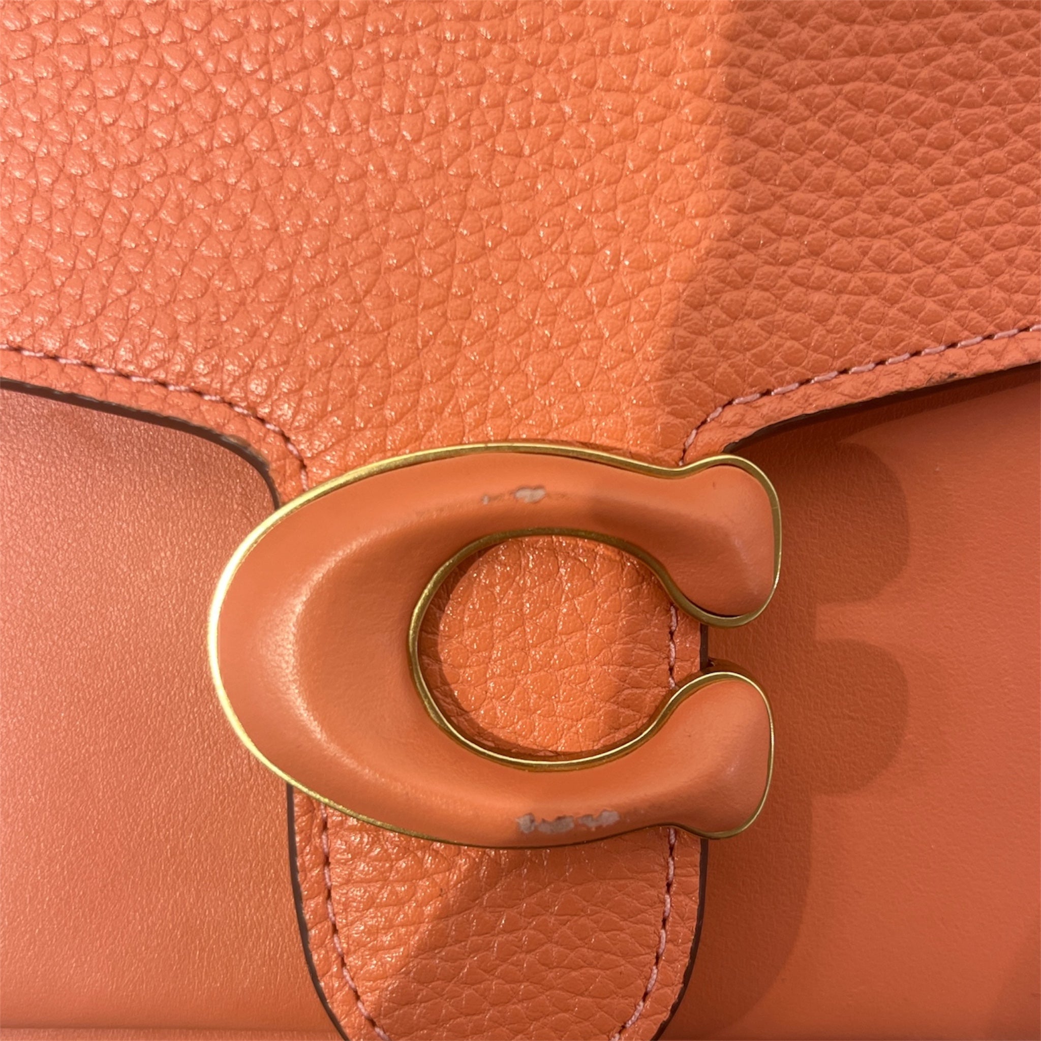 COACH/Cross Body Bag/Leather/PNK/TABBY CHAIN view 4