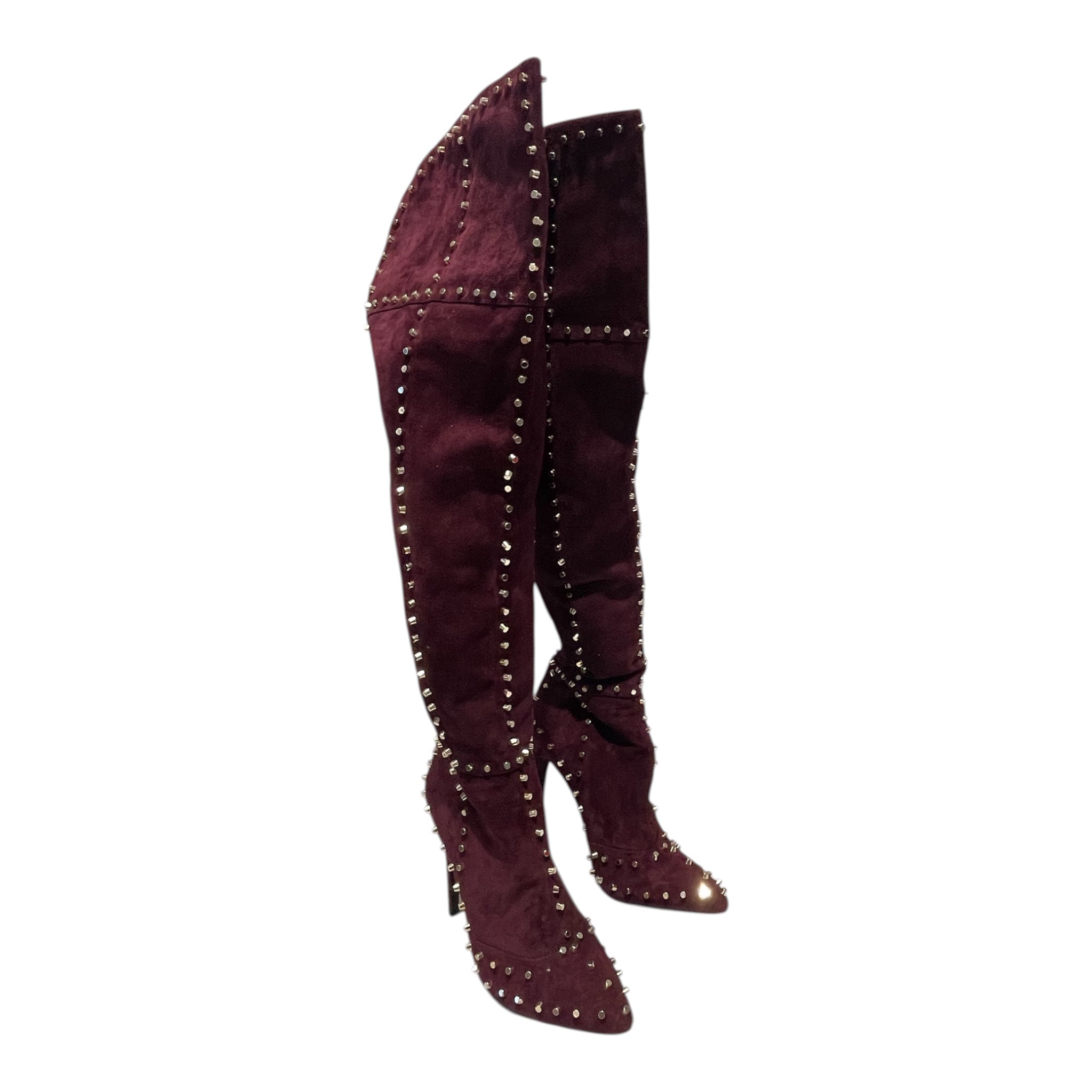 Jennifer Le/Long Boots/EU 39/Suede/PPL/Studded Suede Boot view 1
