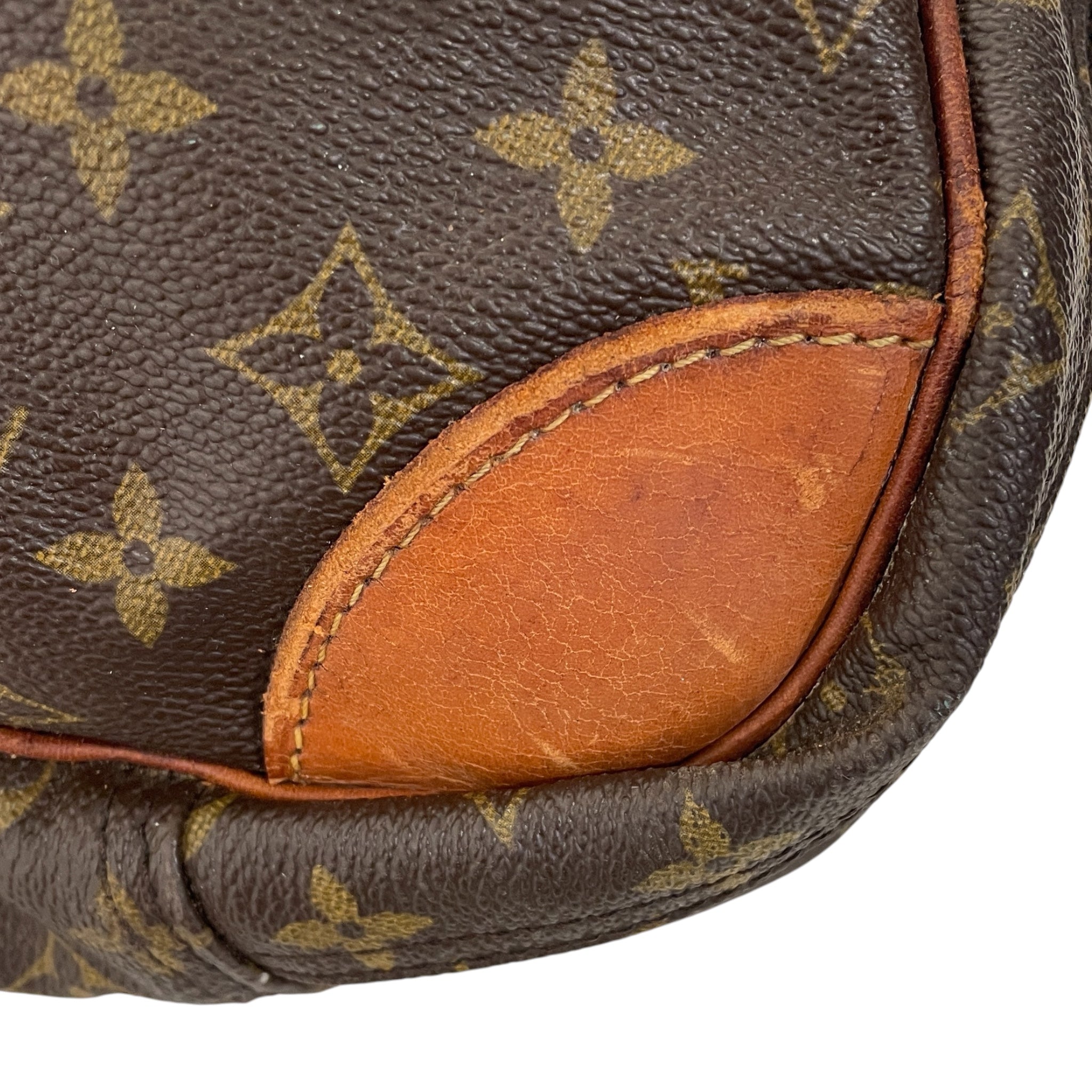 LOUIS VUITTON/Luggage/Monogram/Cotton/BRW/Sirius Travel Bag view 8