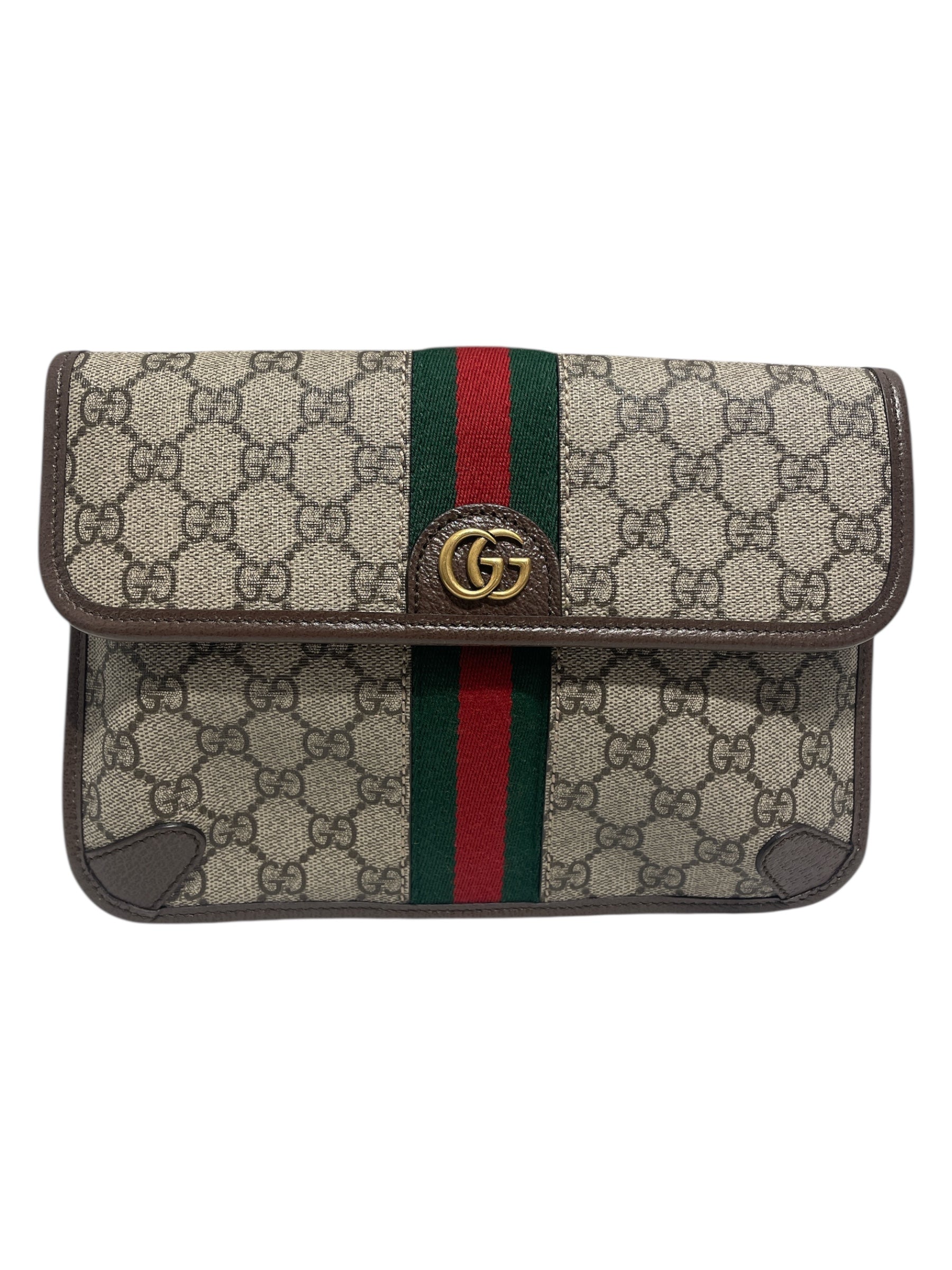 GUCCI/Fanny Pack/All Over Print/KHK/belt bag view 1