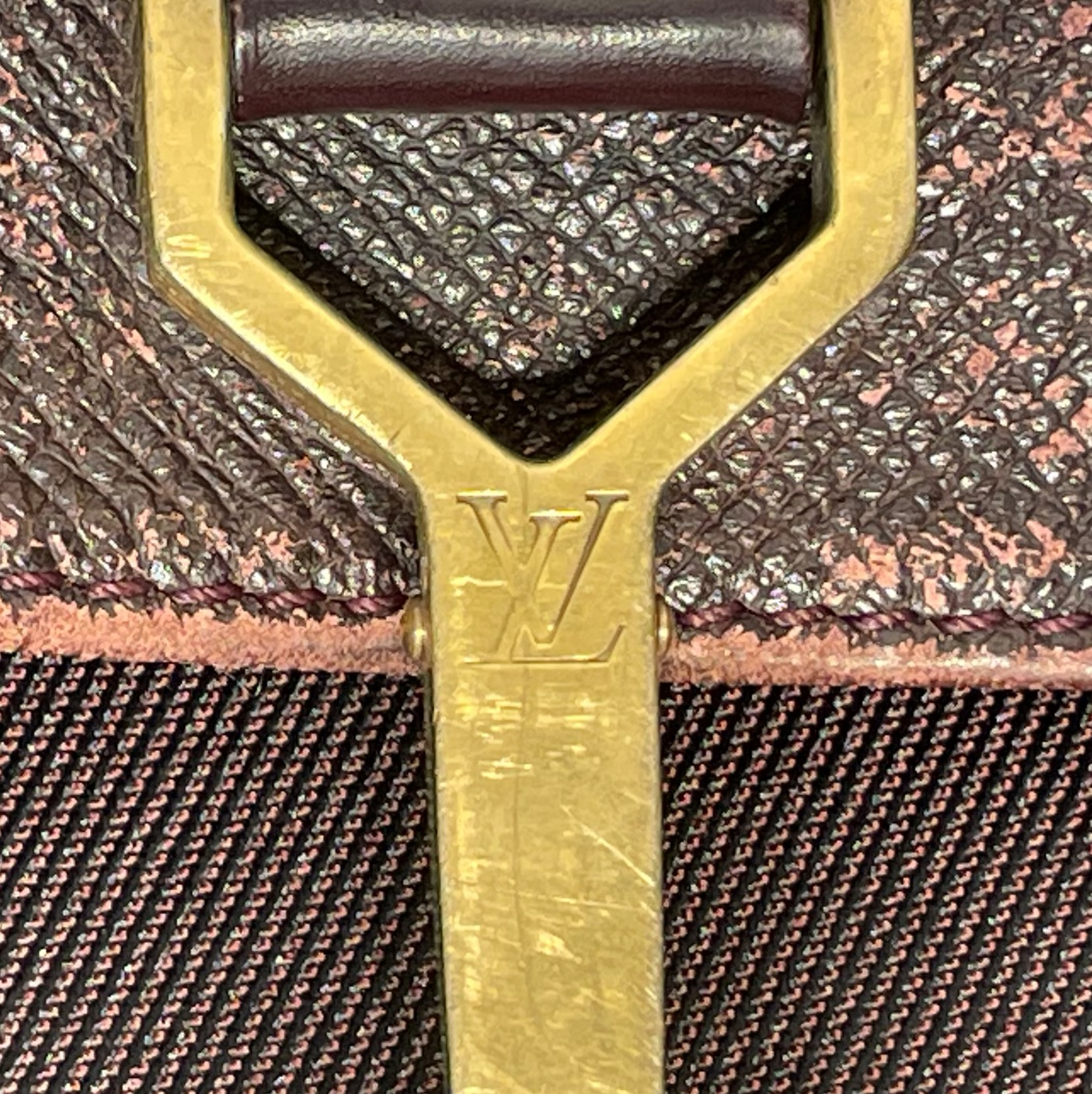 LOUIS VUITTON/Cross Body Bag/Leather/BRD/Louis Vuitton Delsu Taiga view 5