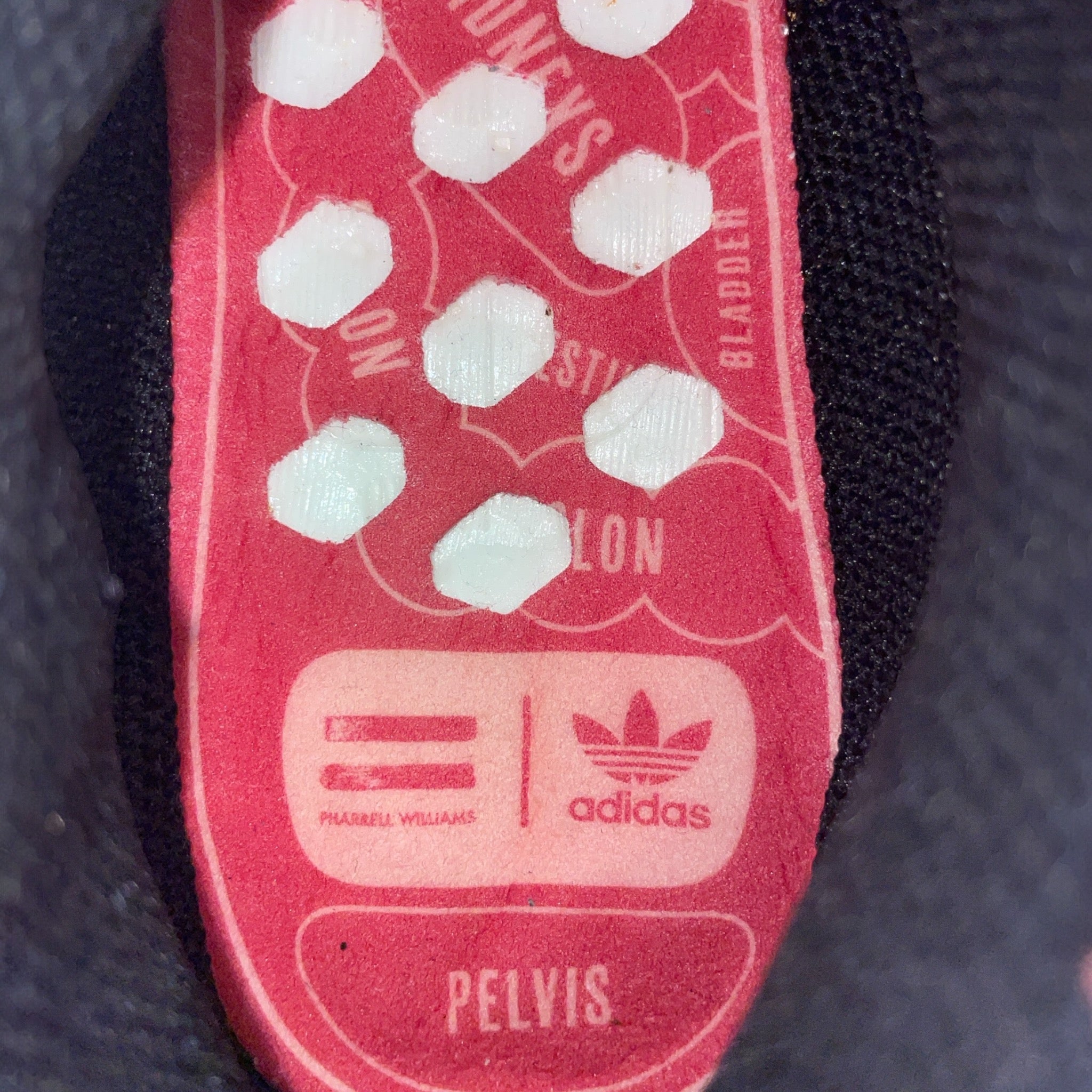 ADIDAS/Low-Sneakers/US 10/Animal Pattern/Nylon/ORN//ADIDAS HUMAN RACE/ view 3