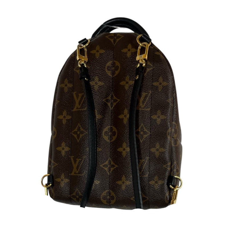 LOUIS VUITTON/Backpack/Monogram/Leather/BRW/PALM SPRINGS MINI BACKPACK view 2