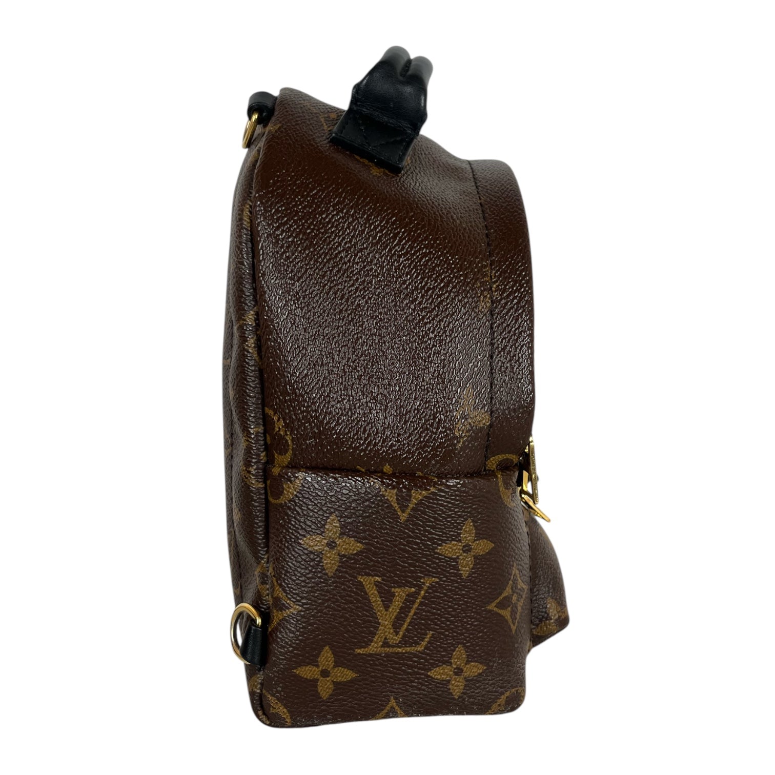 LOUIS VUITTON/Backpack/Monogram/Leather/BRW/PALM SPRINGS MINI BACKPACK view 3