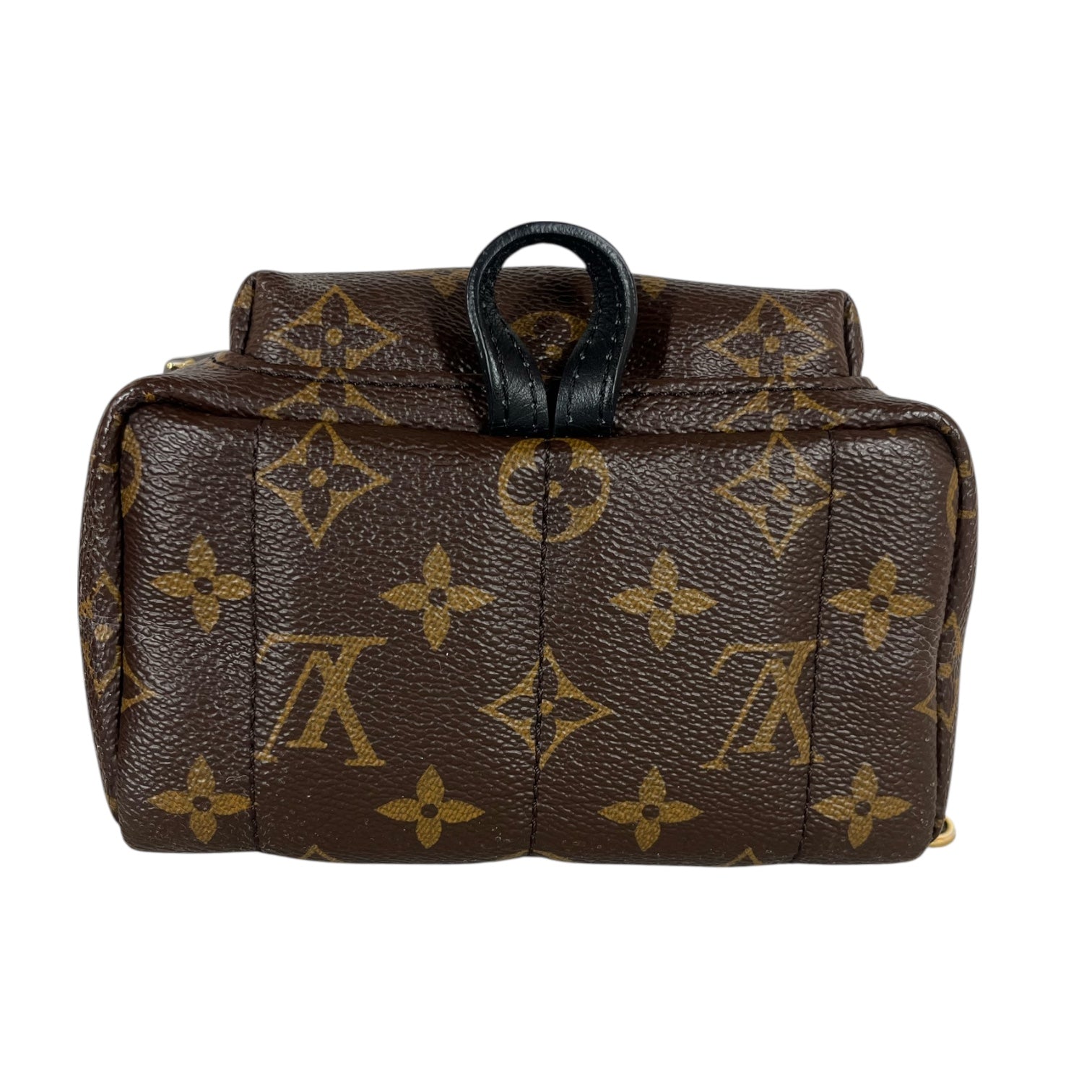 LOUIS VUITTON/Backpack/Monogram/Leather/BRW/PALM SPRINGS MINI BACKPACK view 4