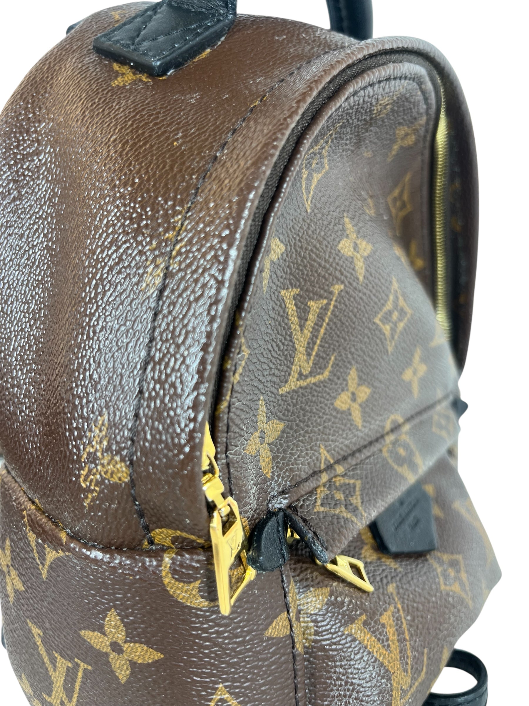 LOUIS VUITTON/Backpack/Monogram/Leather/BRW/PALM SPRINGS MINI BACKPACK view 5