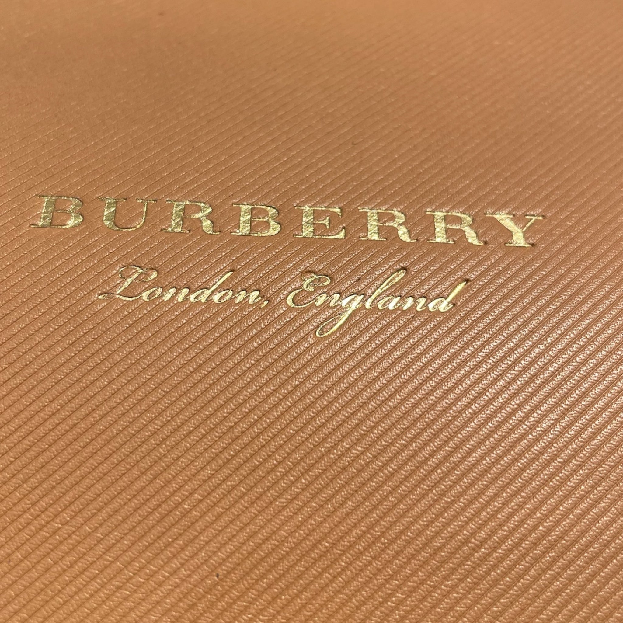 BURBERRY/Cross Body Bag/Leather/RED/DK88 view 3