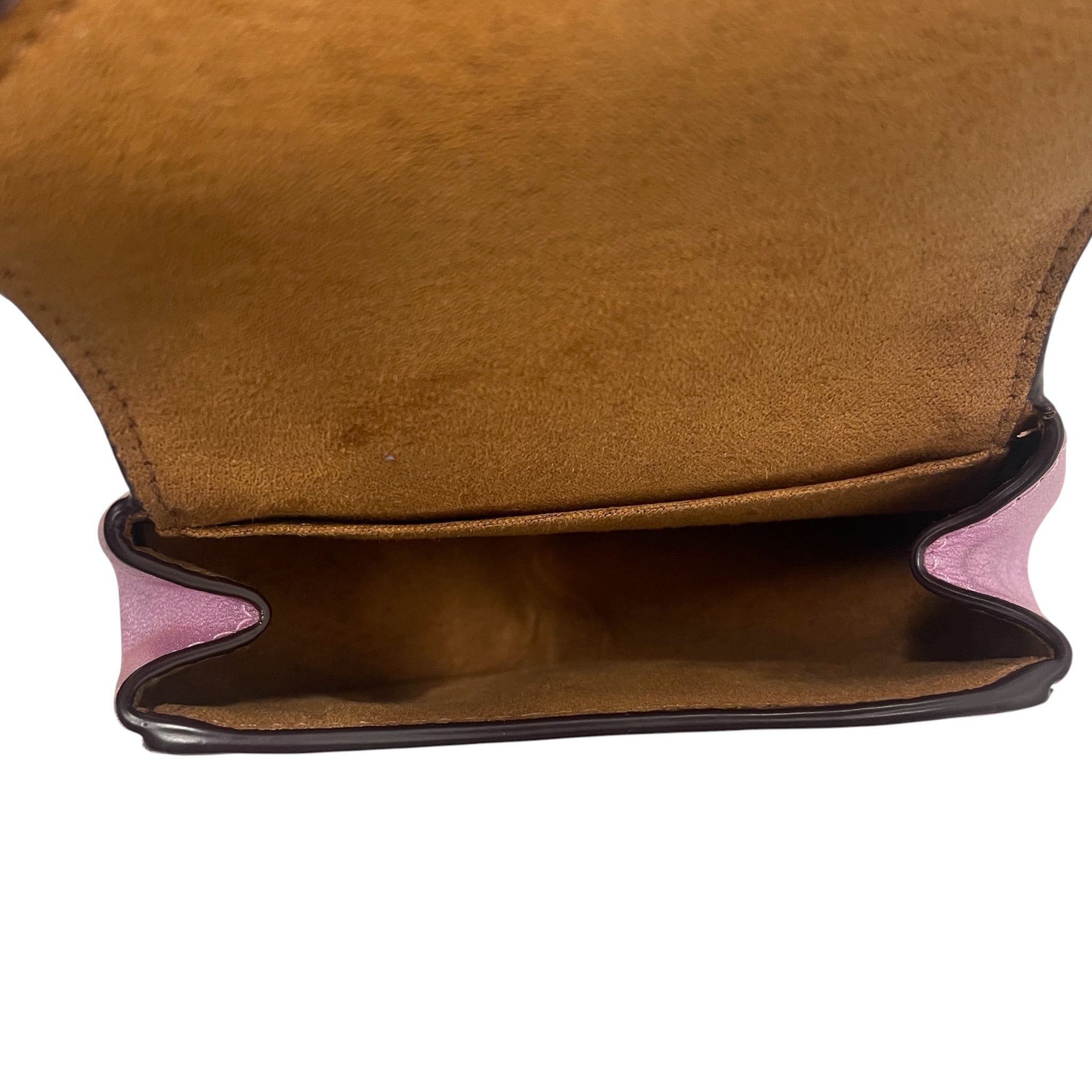 COACH/Cross Body Bag/Leather/PNK/BUBBLEGUMMETALLICXMINI view 4