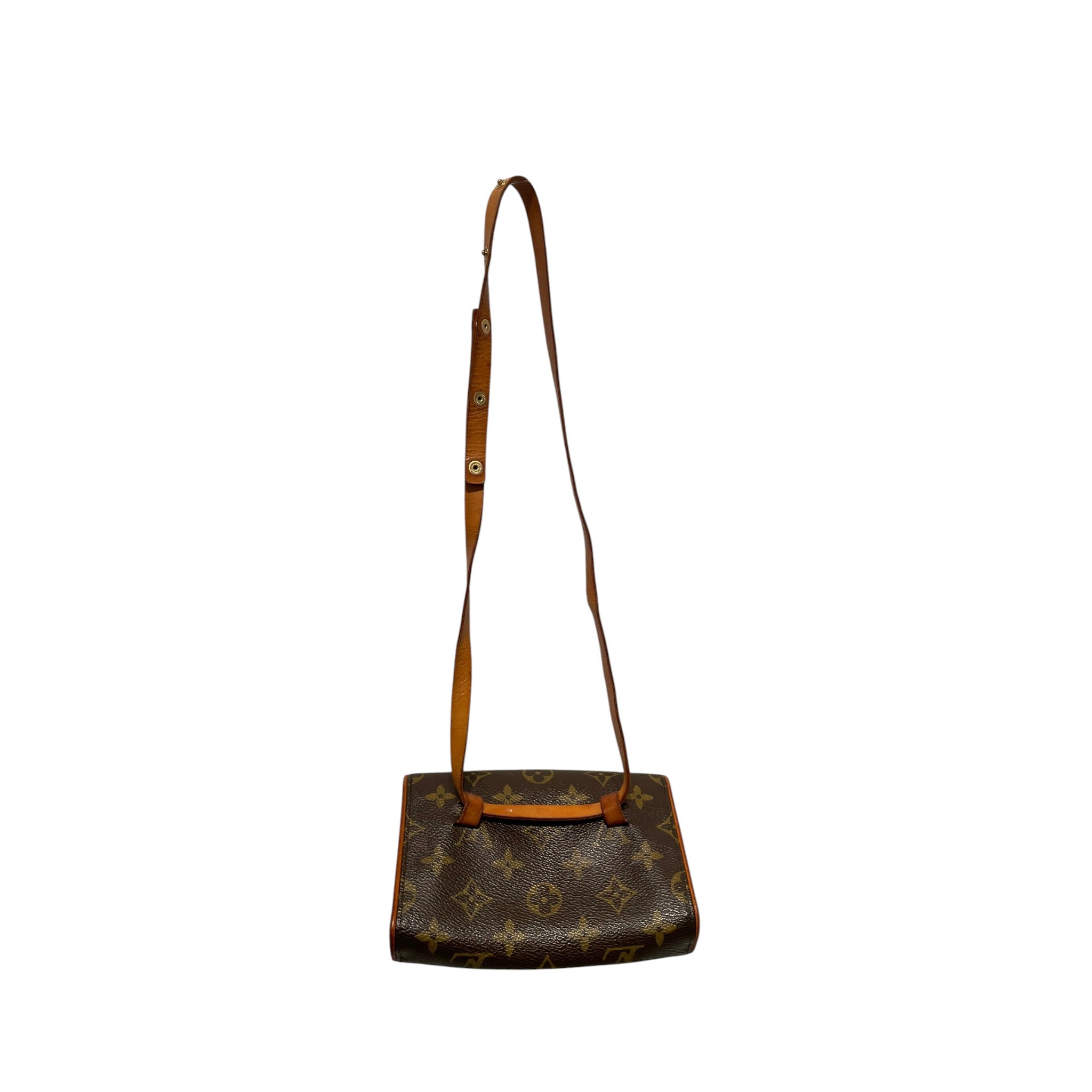 LOUIS VUITTON/Fanny Pack/Monogram/Leather/BRW/florentine belt bag view 7