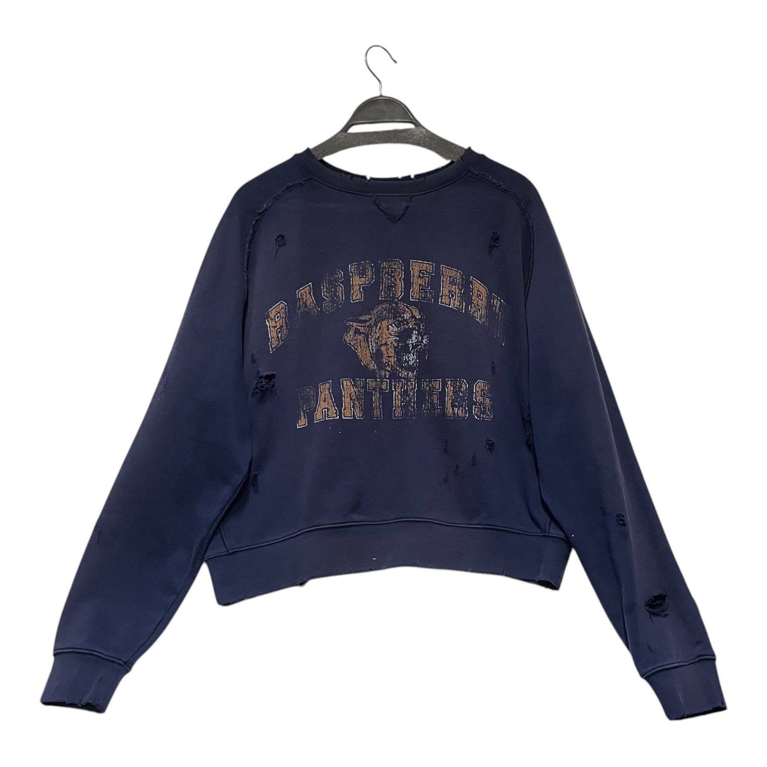 Raspberry Hills/Sweatshirt/S/Graphic/Cotton/IDG/Distressed/RASPBERRY PANTHERS view 1