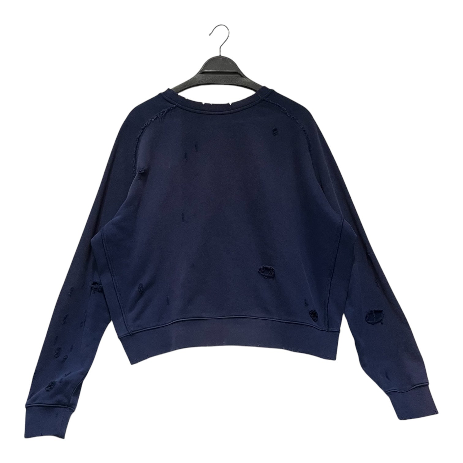 Raspberry Hills/Sweatshirt/S/Graphic/Cotton/IDG/Distressed/RASPBERRY PANTHERS view 2