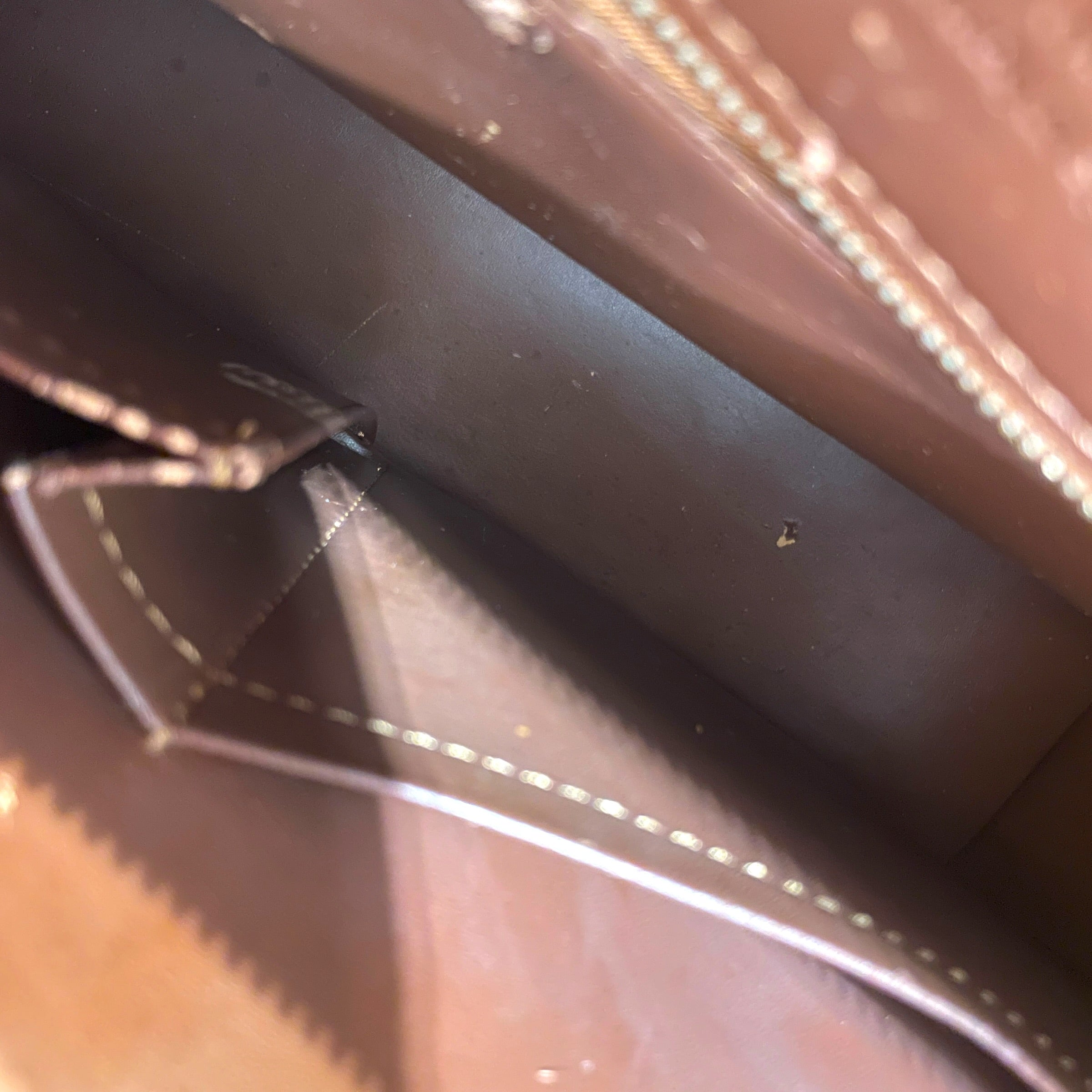LOUIS VUITTON/Bag/Monogram/Leather/BRW/Houston Long BAg view 5