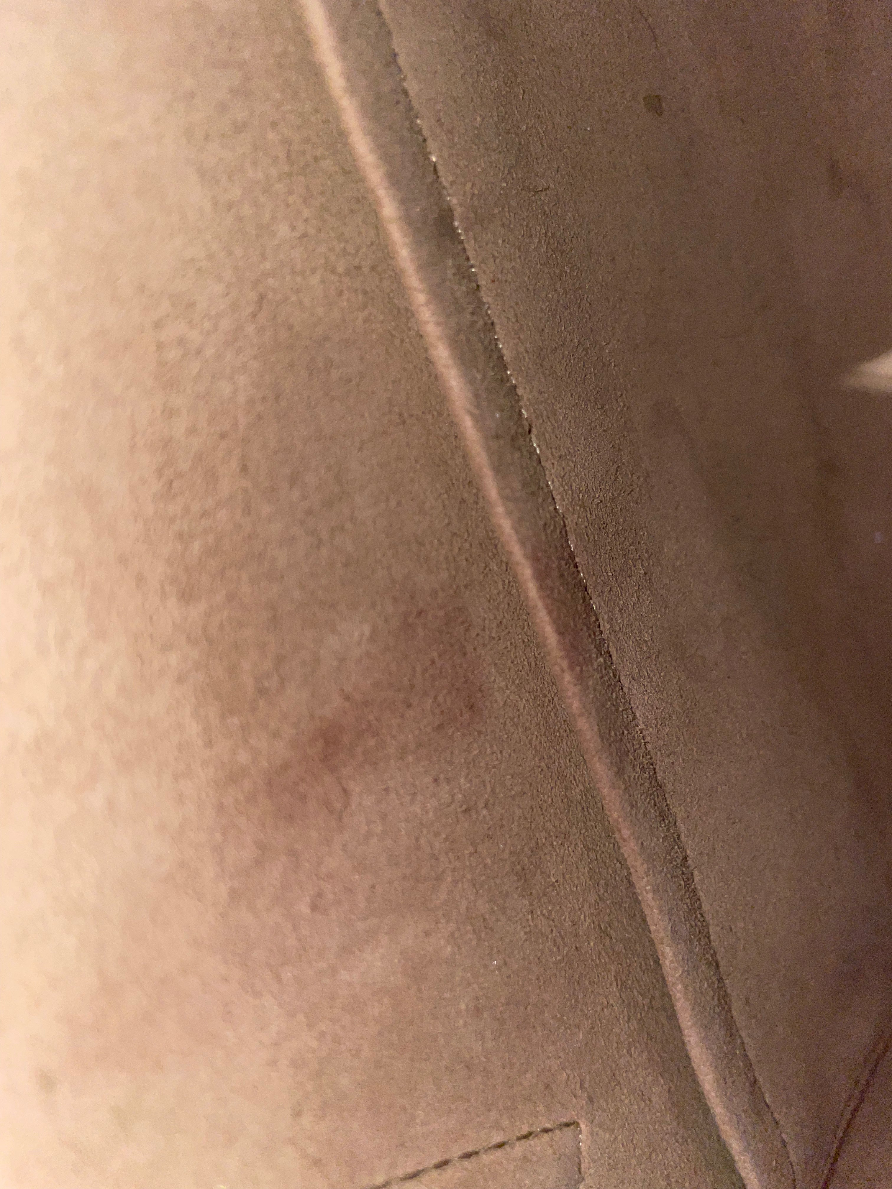 MCM/Hand Bag/Monogram/Leather/PNK/Small Ella Boston view 5