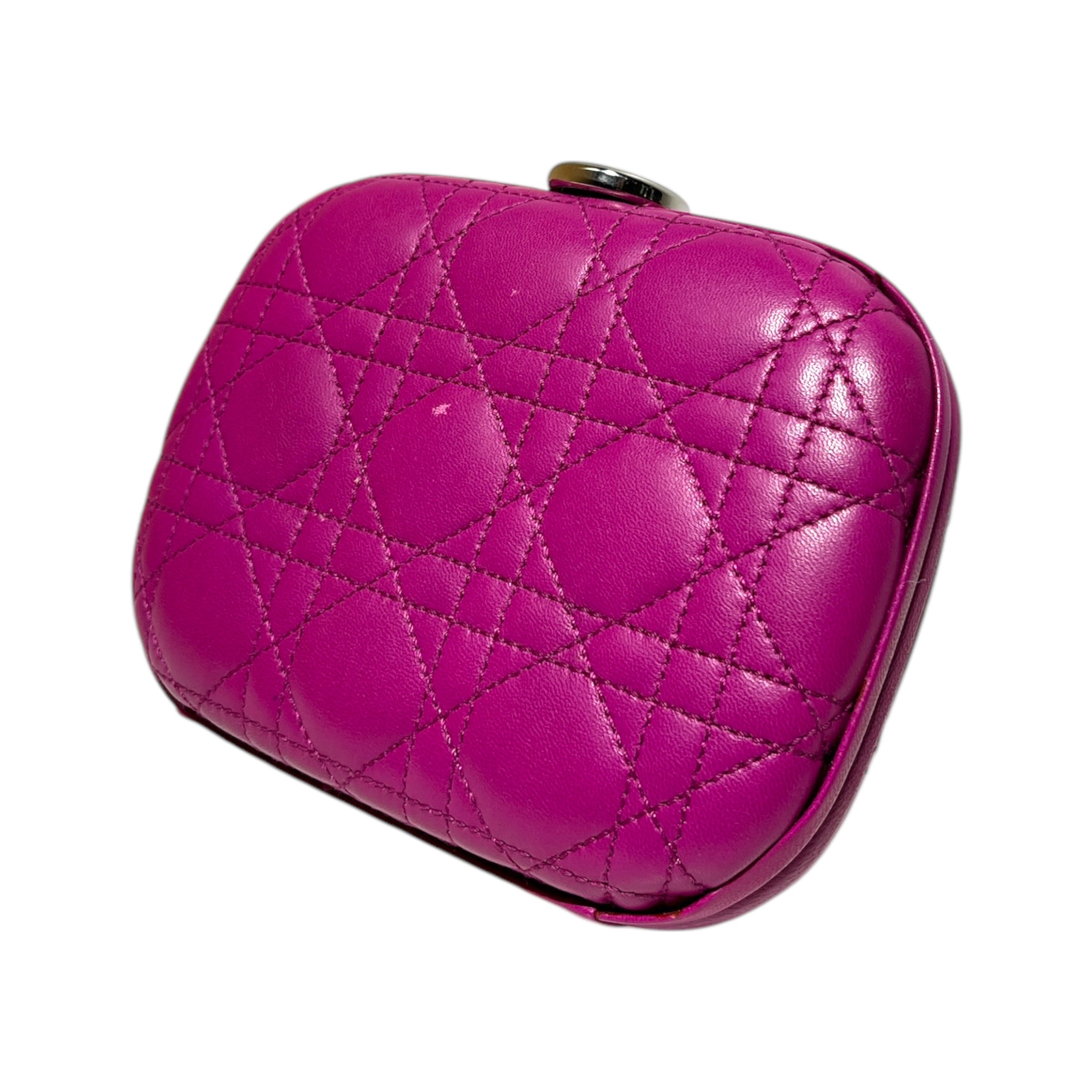 Christian Dior/Hand Bag/Leather/PPL/clutch bag view 2