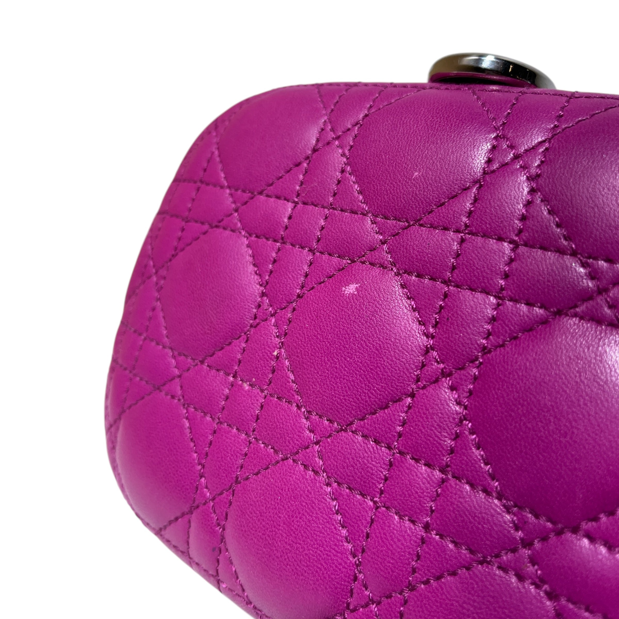 Christian Dior/Hand Bag/Leather/PPL/clutch bag view 7