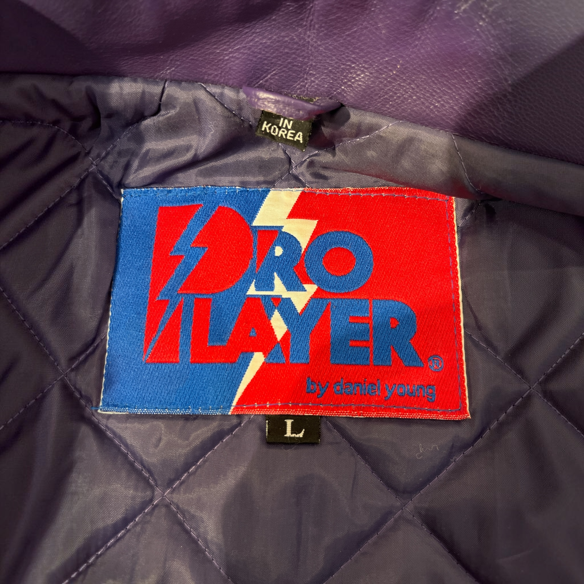 PRO PLAYER/Jacket/L/Leather/MLT/RAPTORS PURPLE LINING view 3
