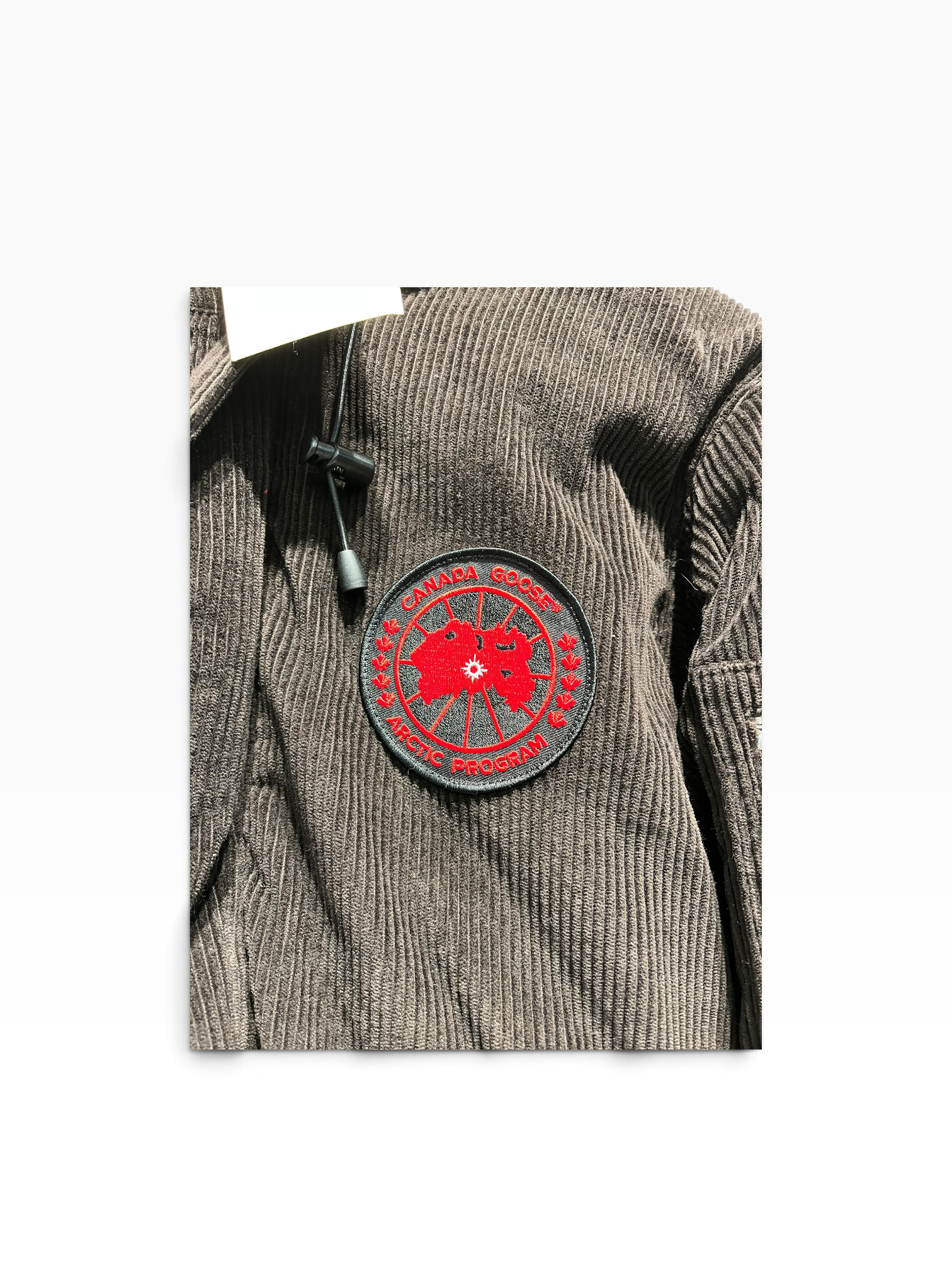 CANADA GOOSE/Jacket/L/Corduroy/BRW/Stripe/Corduroy Bomber view 4