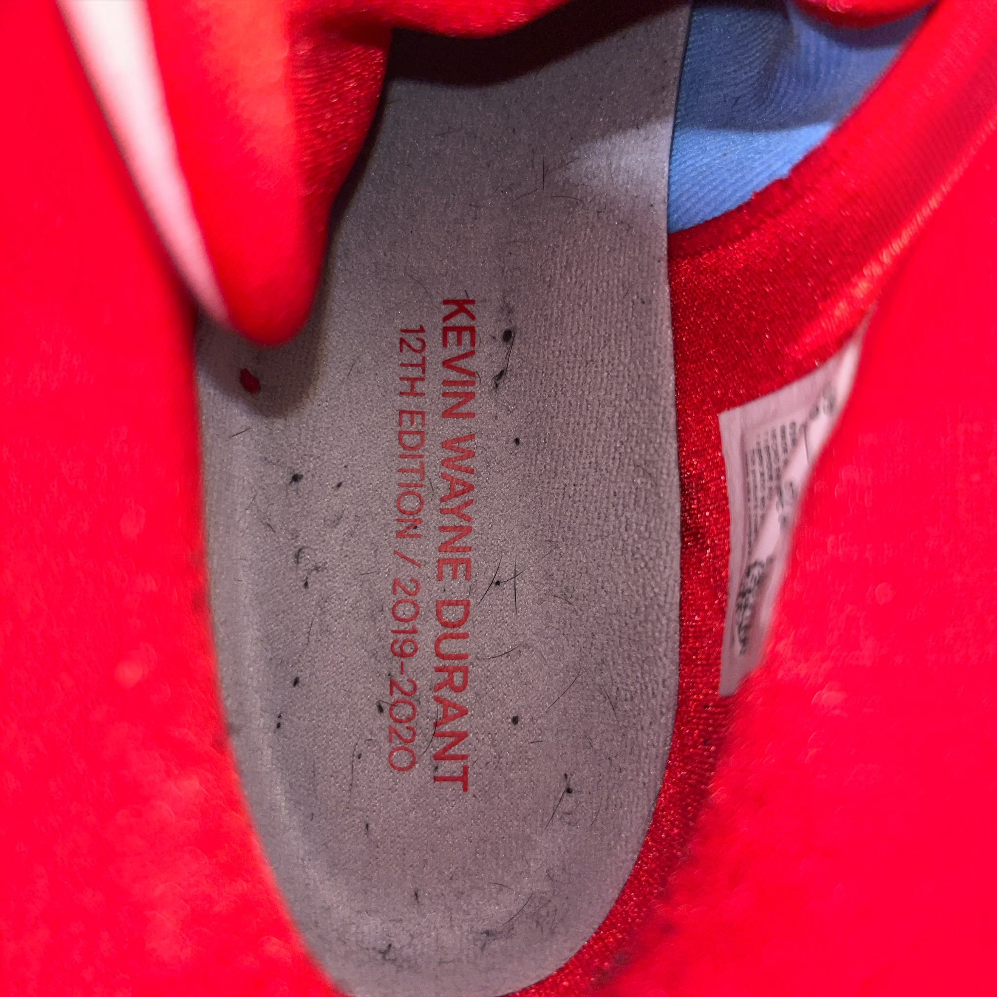 NIKE/Hi-Sneakers/US 10/BLU/CD4982-900 view 3