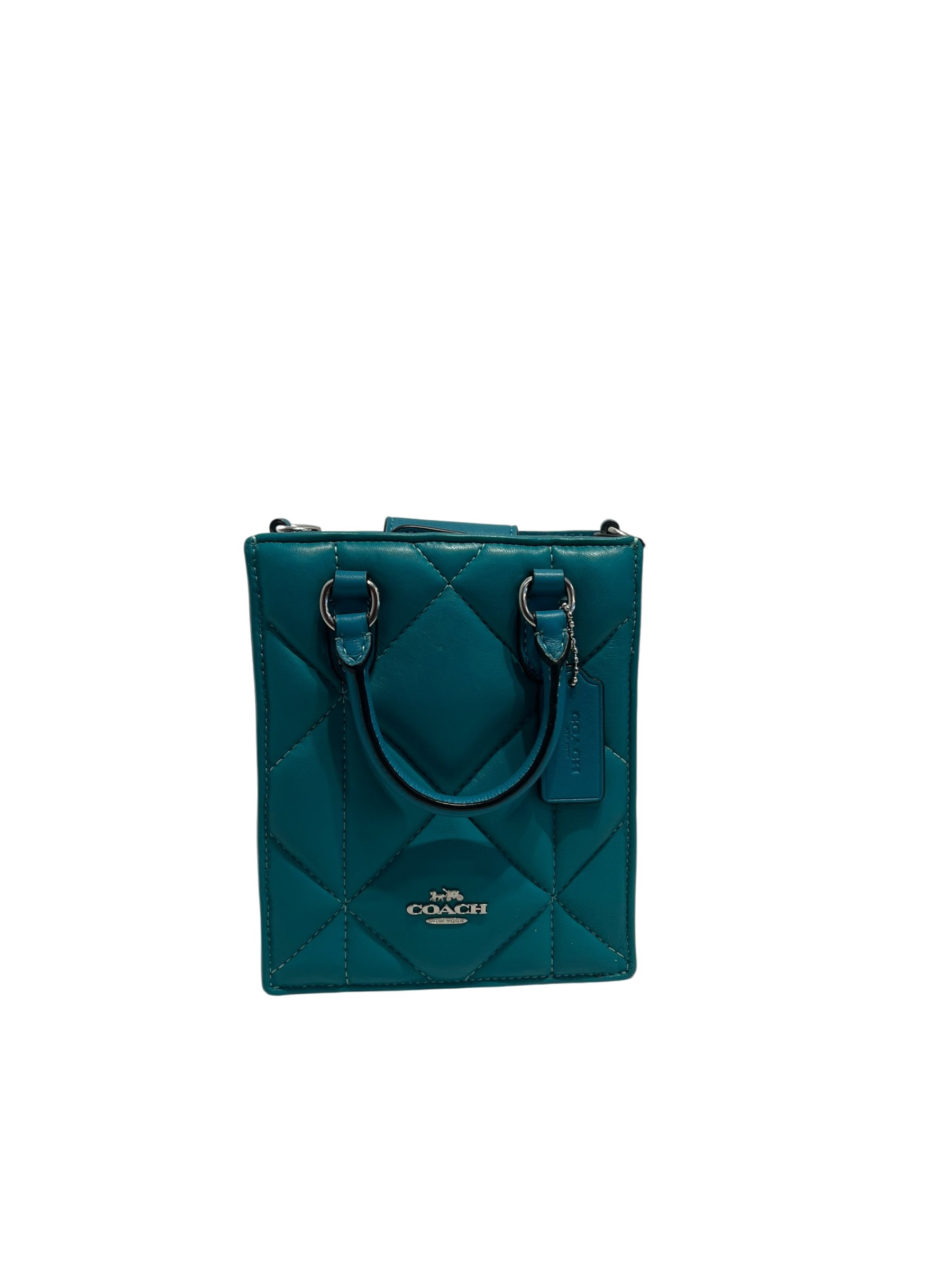 COACH/Tote Bag/Leather/GRN/North South Mini Tote view 1