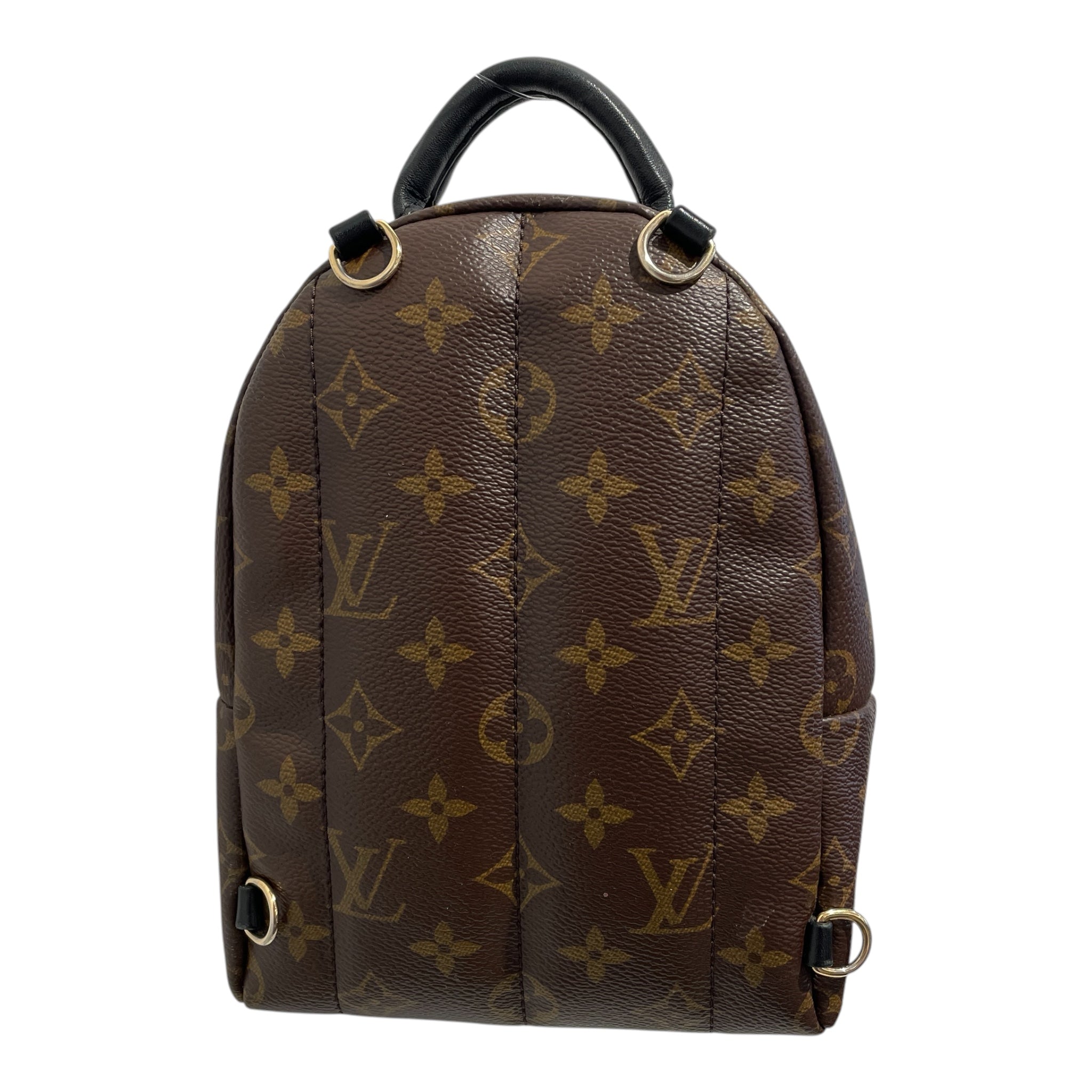 LOUIS VUITTON/Backpack/Monogram/Leather/BRW/palm springs mini view 2