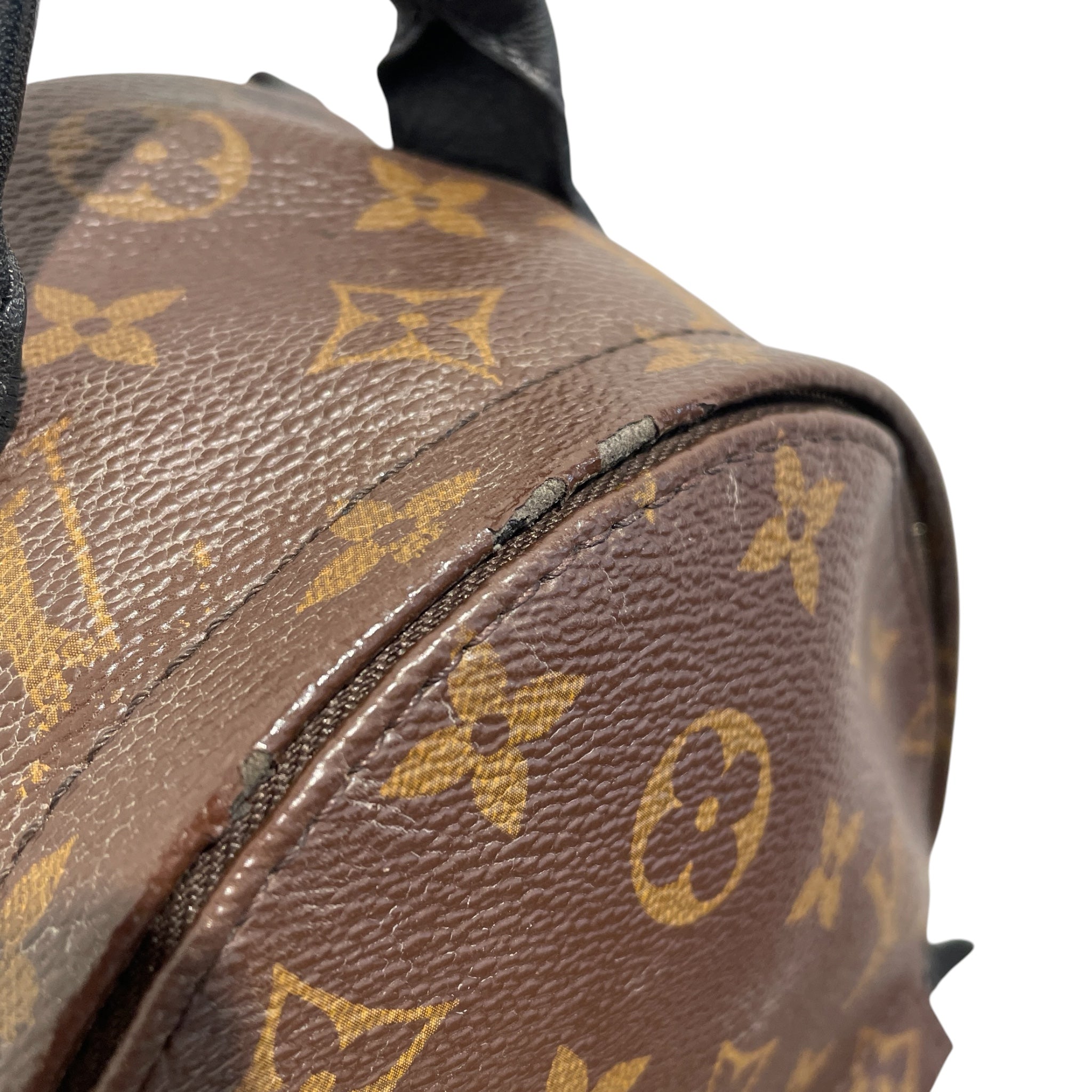 LOUIS VUITTON/Backpack/Monogram/Leather/BRW/palm springs mini view 6