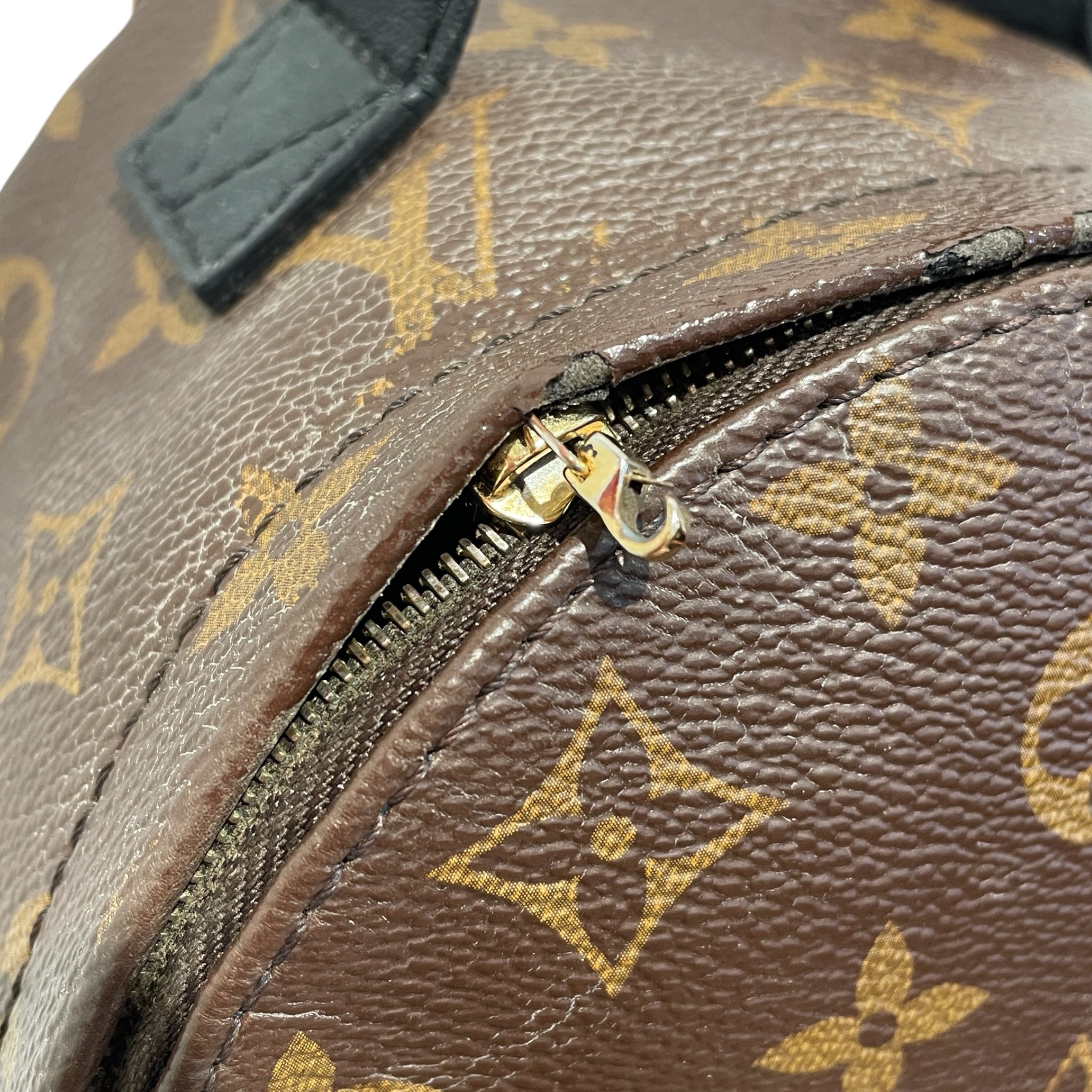 LOUIS VUITTON/Backpack/Monogram/Leather/BRW/palm springs mini view 7