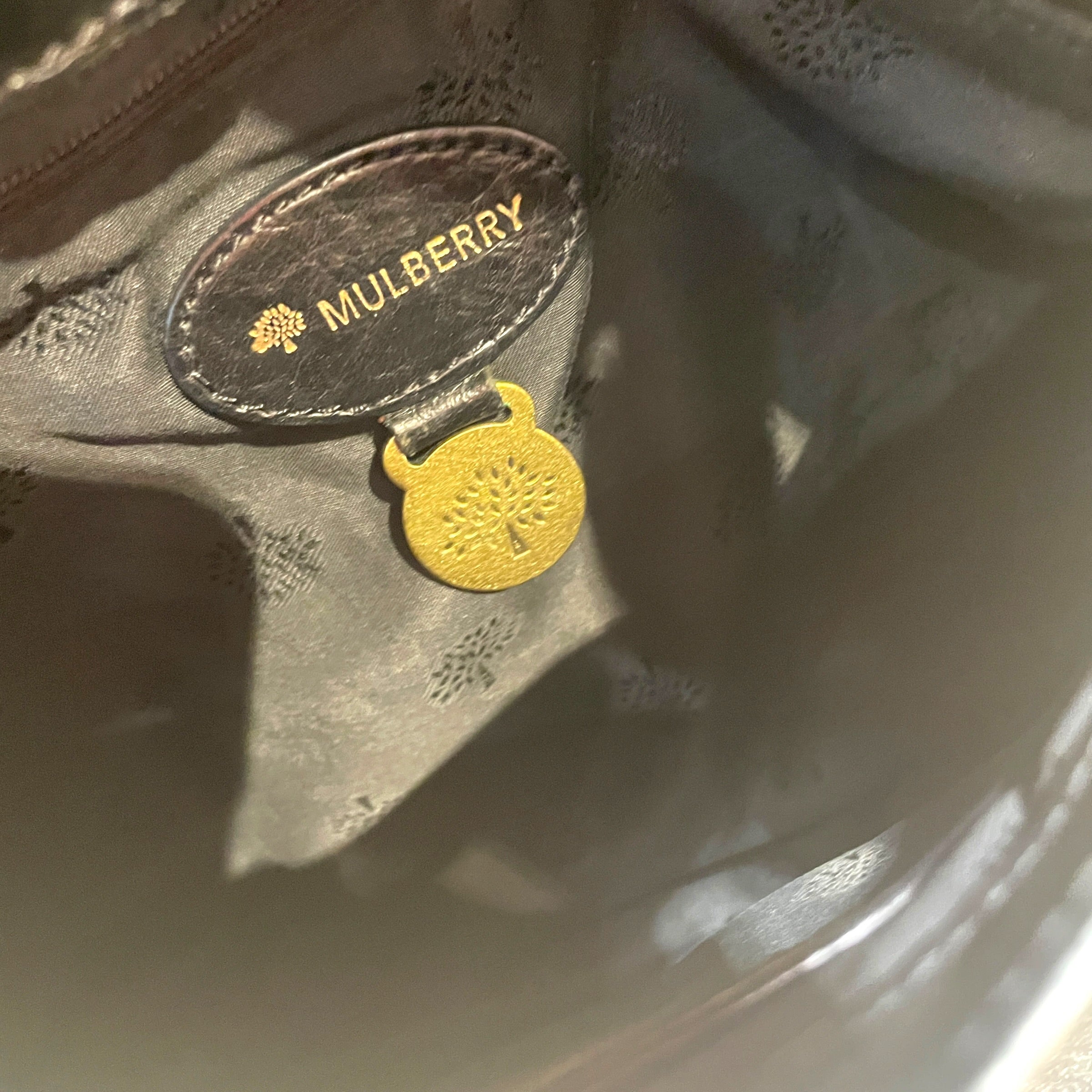 MULBERRY/Hand Bag/Leather/BLK/Alexa Bag view 4