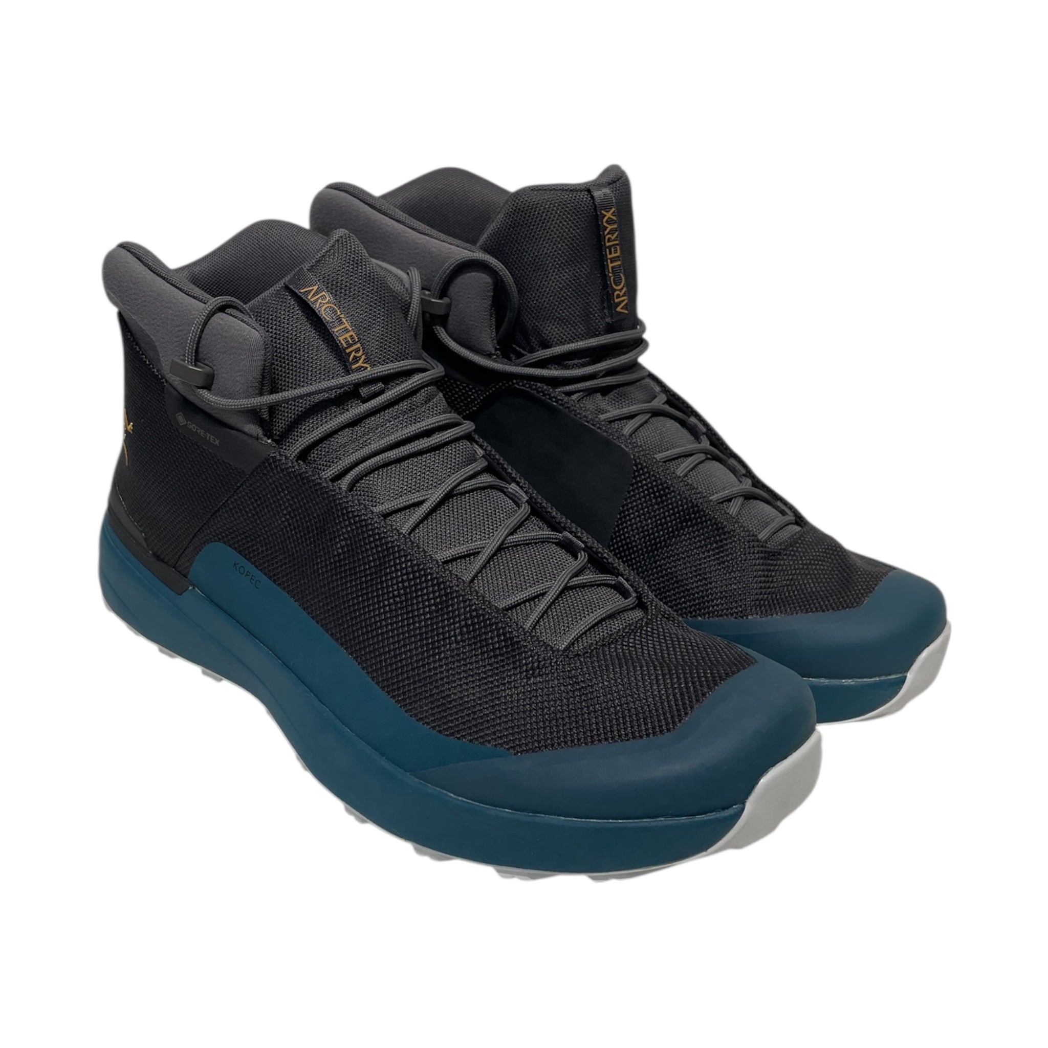 ARC'TERYX/Hi-Sneakers/US 11/Gore-Tex/BLU/kopec view 1