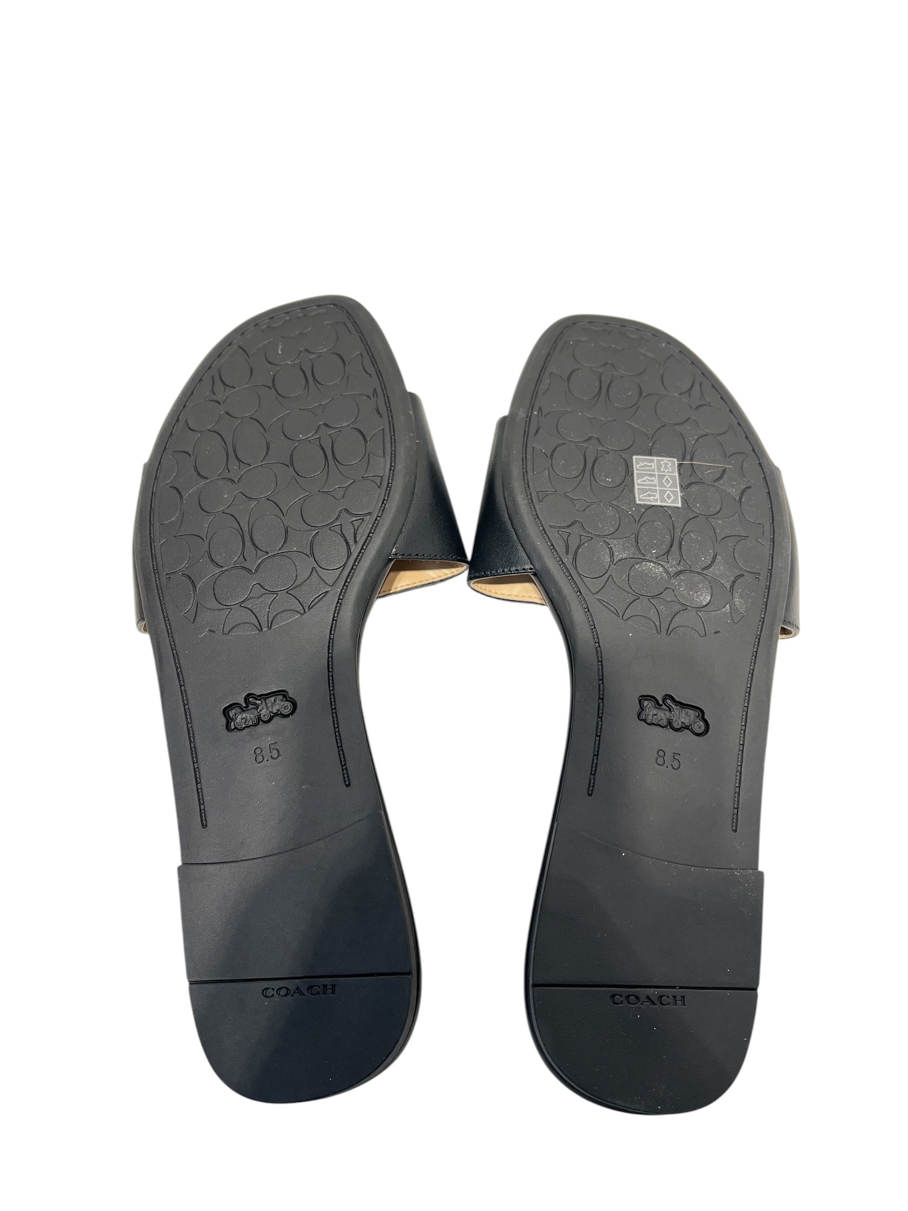 COACH/Sandals/US 8.5/Leather/BLK/Evy Sandal view 3