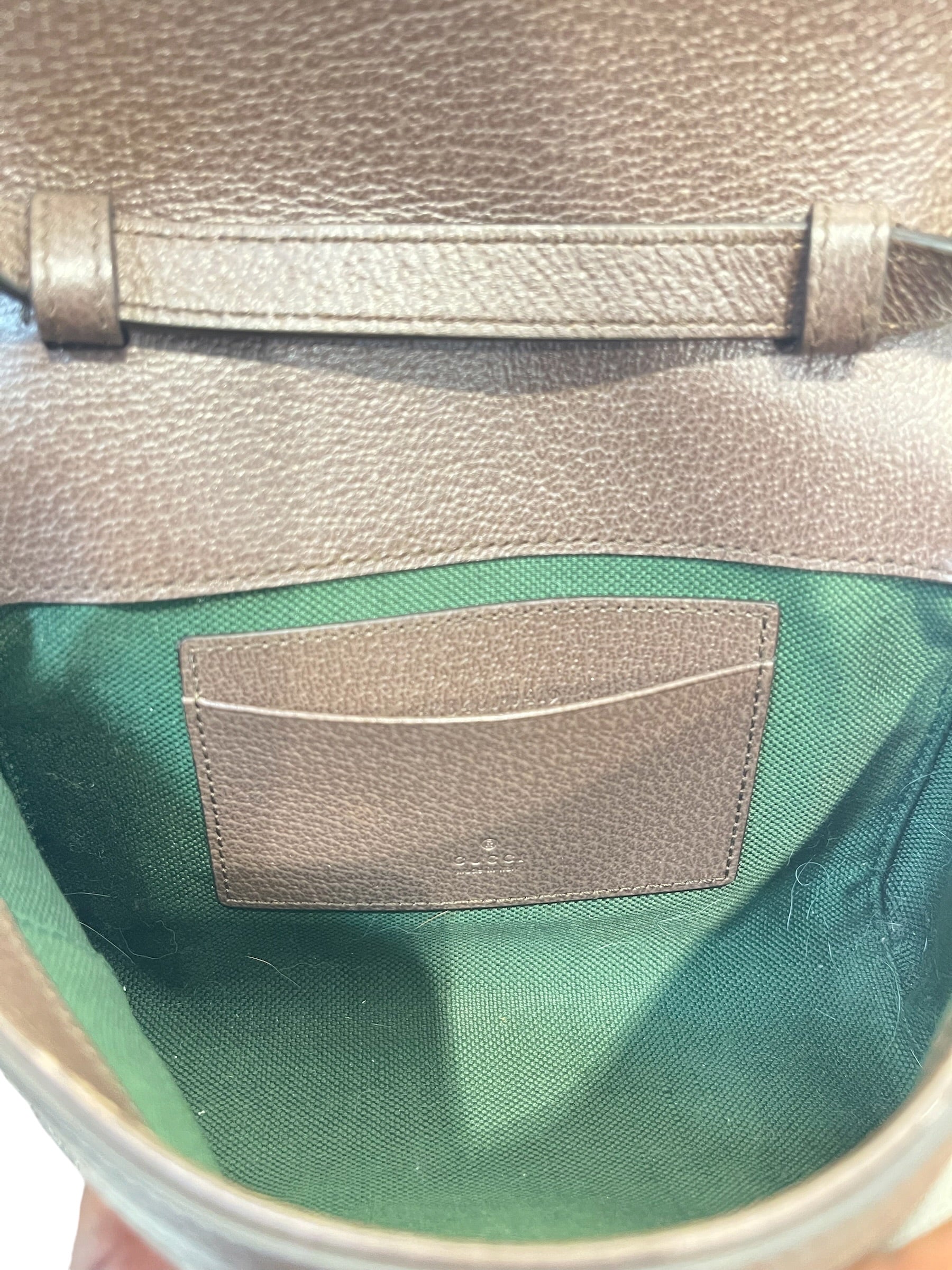 GUCCI/Cross Body Bag/All Over Print/Leather/KHK/Small Ophidia view 5