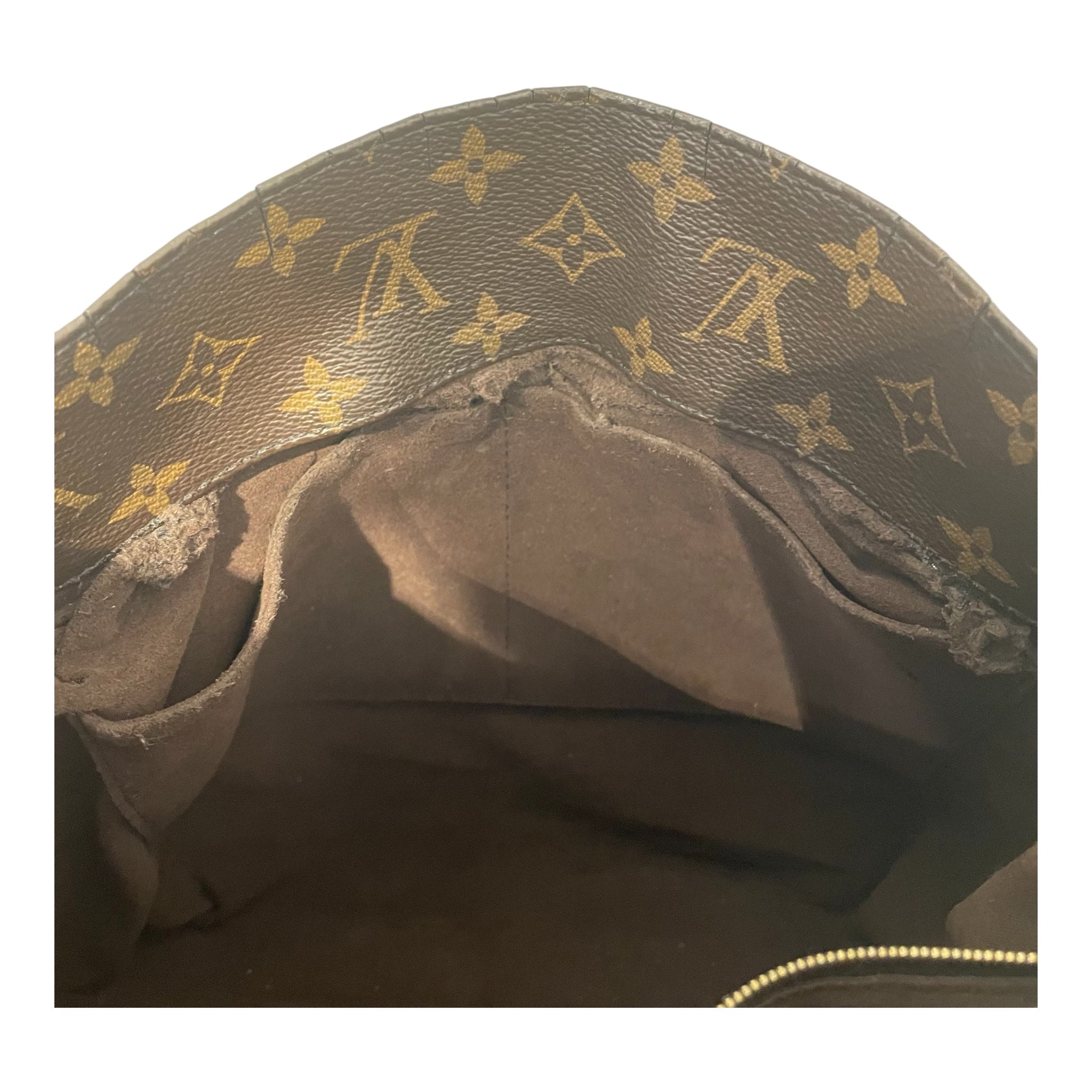 LOUIS VUITTON/Bag/Monogram/Leather/BRW/metis hobo view 6