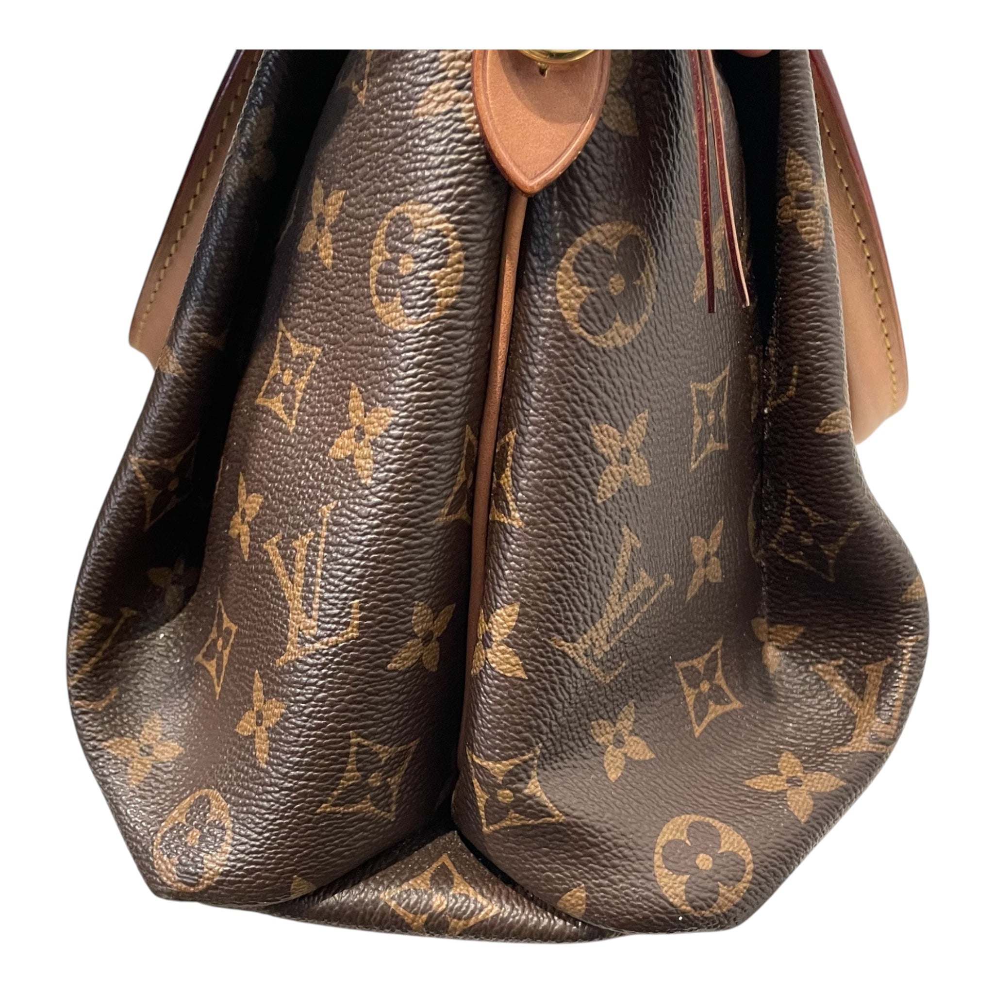 LOUIS VUITTON/Hand Bag/Monogram/Leather/BRW/RIVOLI LEATHER LOCK view 9