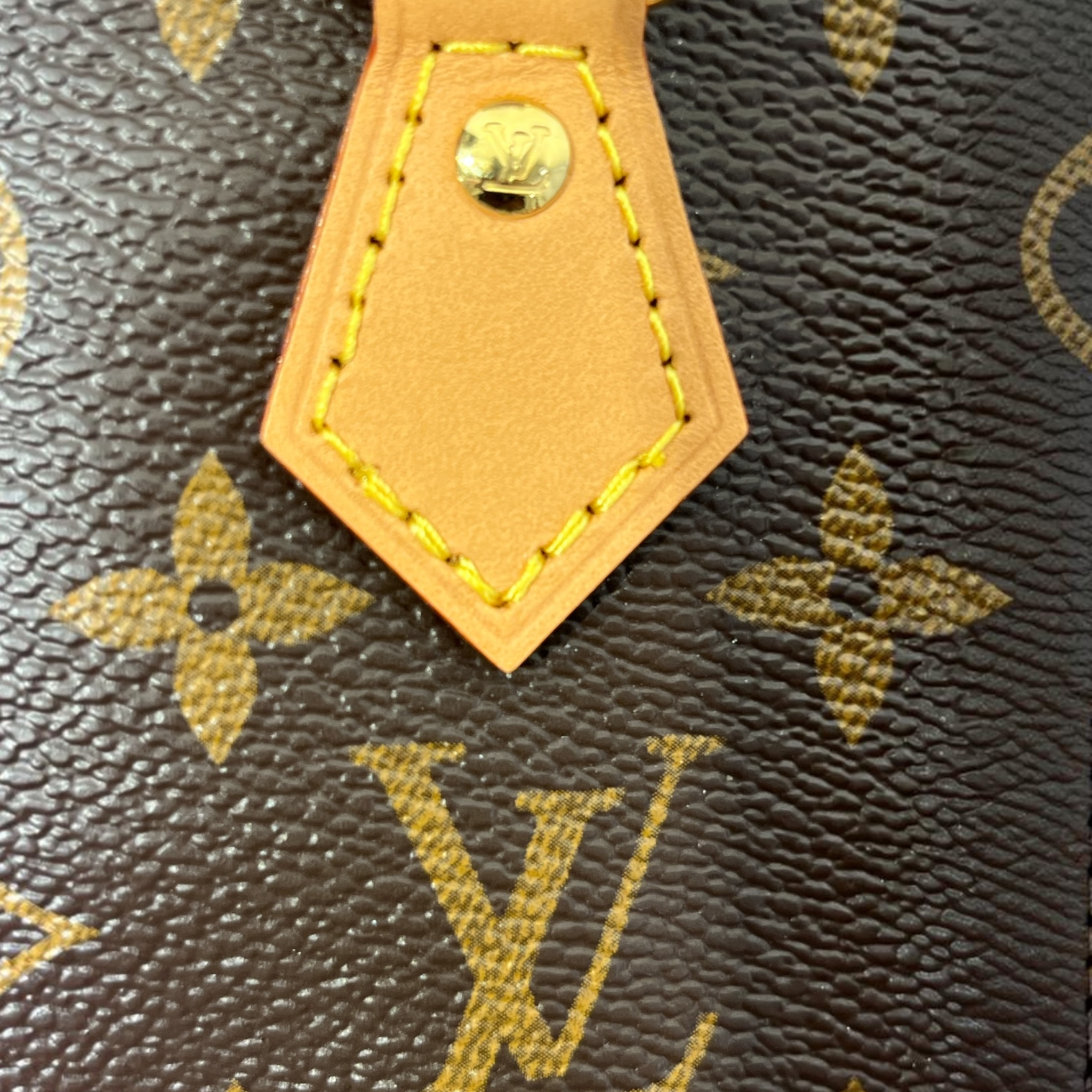 LOUIS VUITTON/Cross Body Bag/Monogram/Leather/BRW/NANO SPEEDY view 8