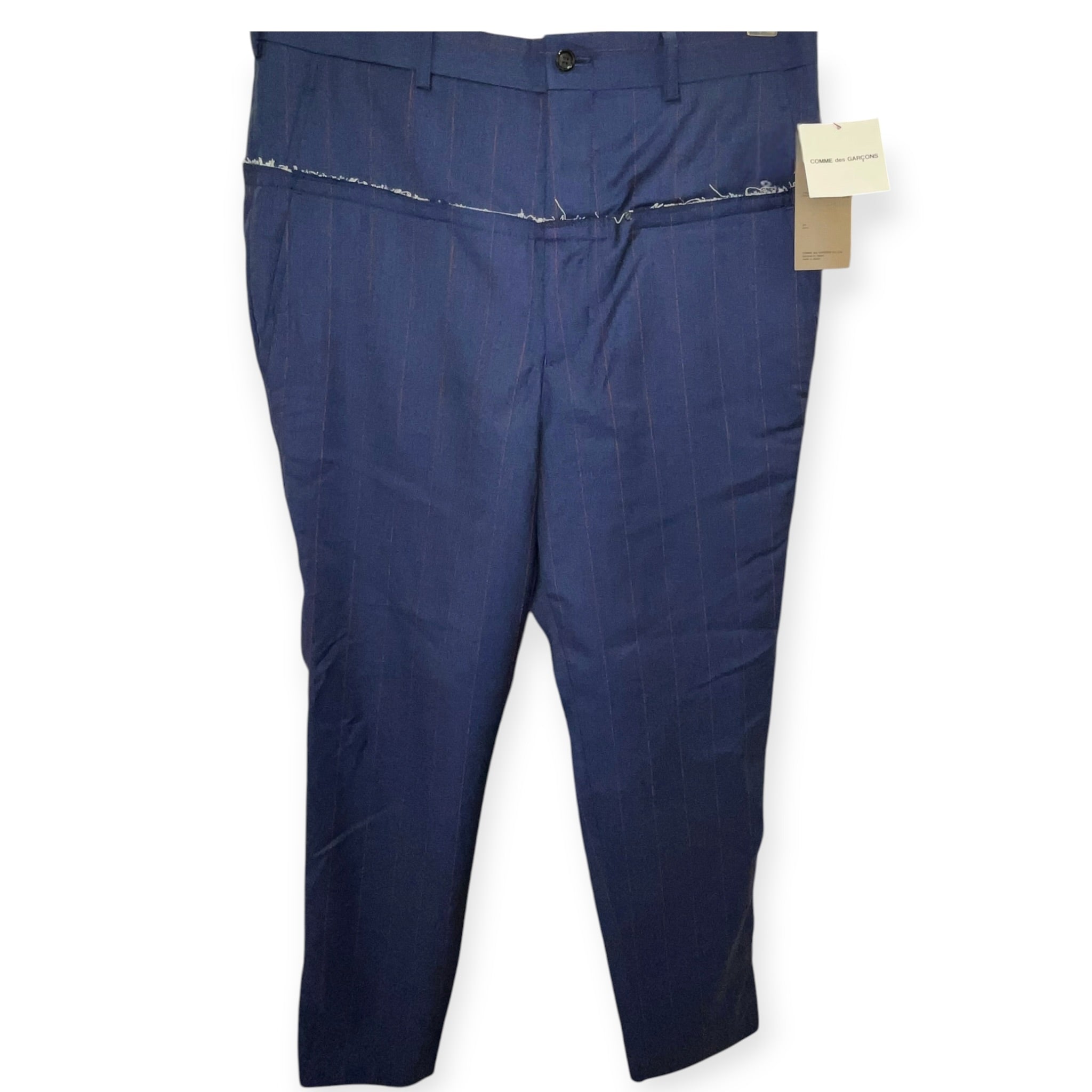 COMME des GARCONS HOMME PLUS/Slacks/M/Wool/BLU/Stripe/2020 PINSTRIPE HYBRID PANT view 1
